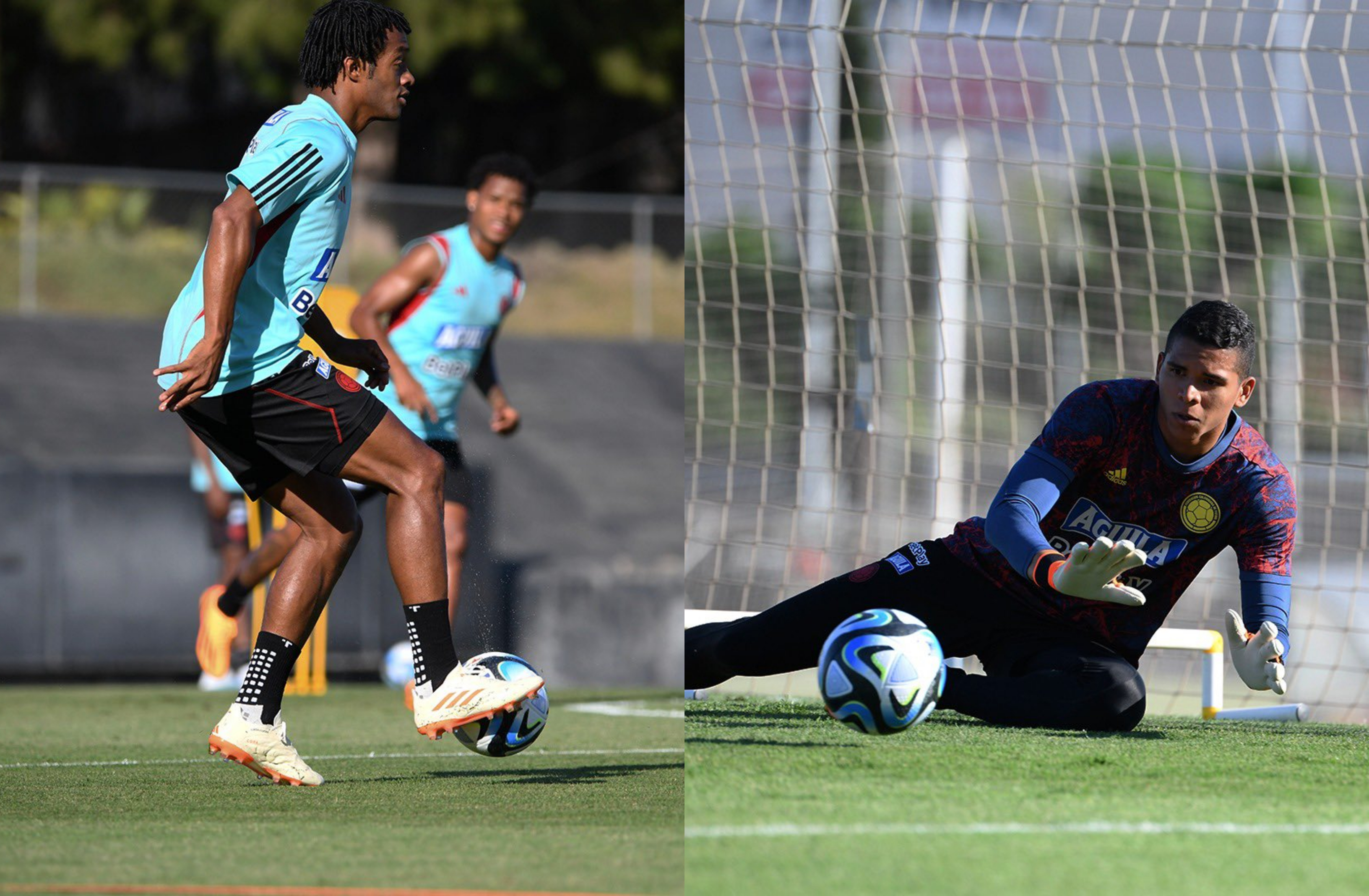 Primer día de entrenamientos de la Selección Colombia en España para los partidos amistosos de junio

(Federación Colombiana de Fútbol)