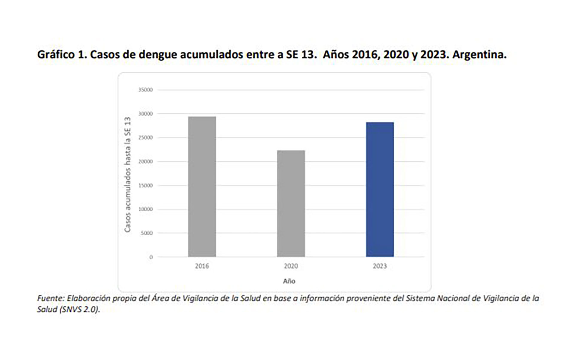 Dengue En Argentina Desde El Inicio Del Brote Ya Se Reportan 28 235