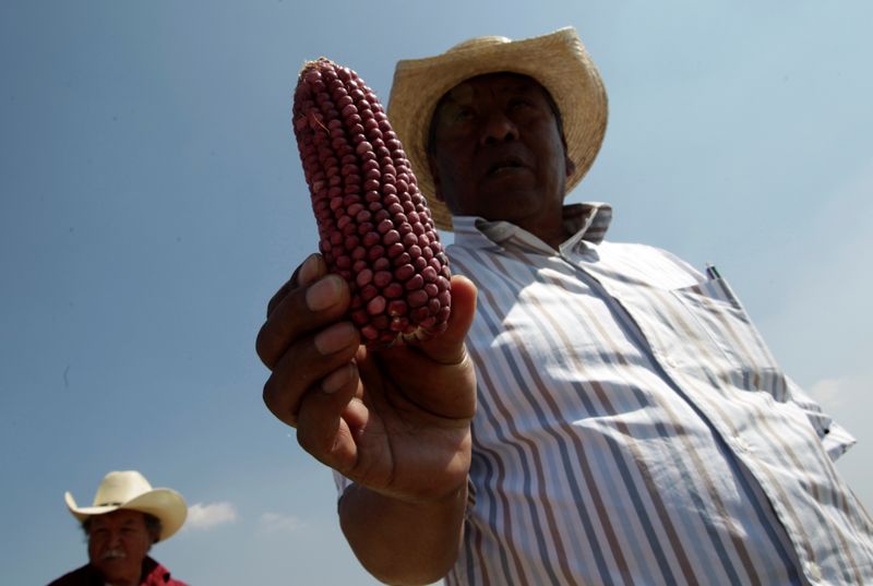 “no Les Importaba Fomentar La Agricultura Sino A Los De Arriba” Amlo 6697