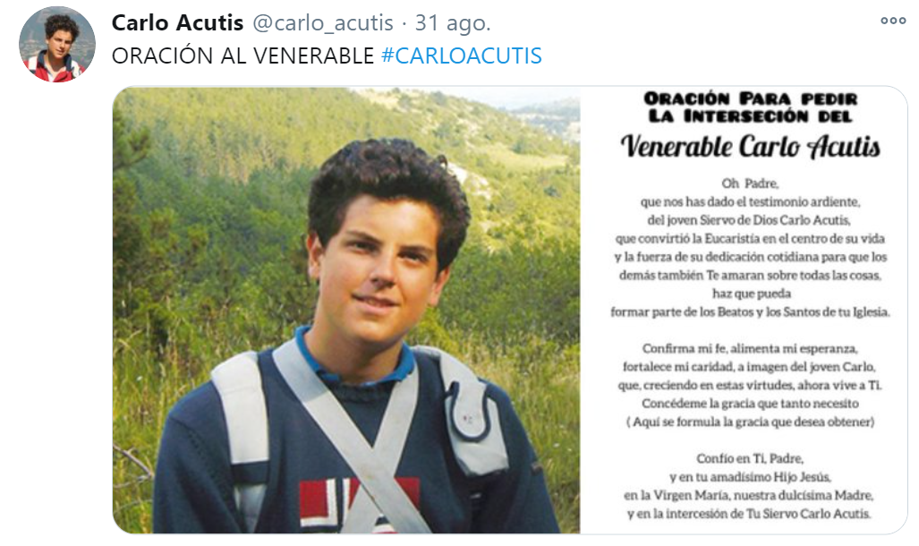 Las mejores 15 frases del Beato Carlo Acutis, el joven Patrono de Internet  que predijo su muerte - Infobae