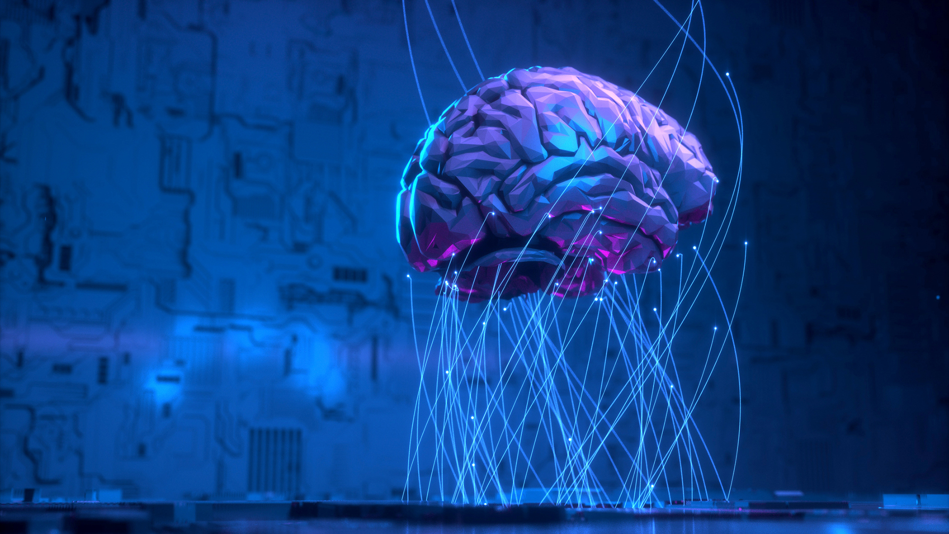 Los científicos estudian cada vez más el cerebro y prometen grandes descubrimientos