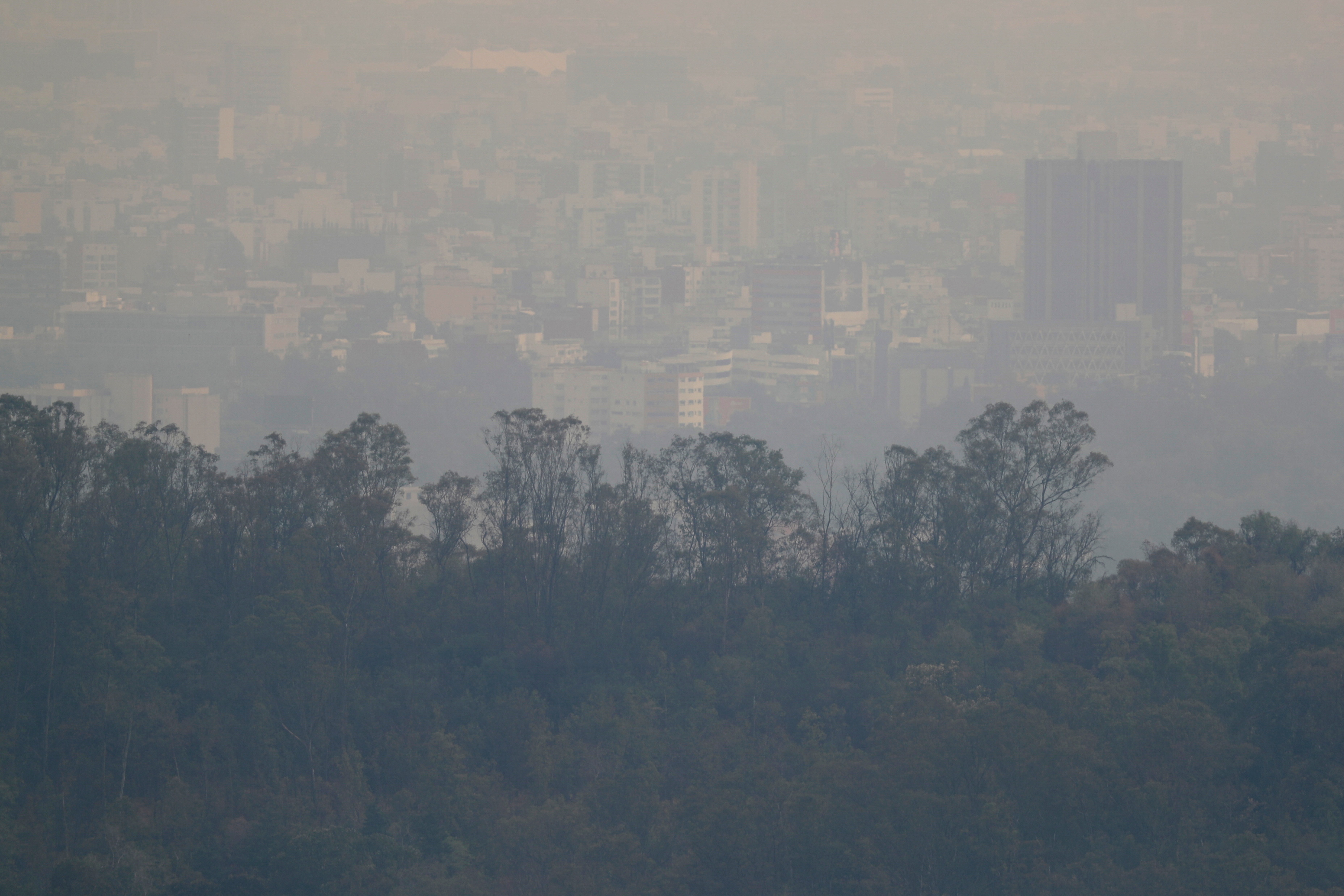 Más de 4 millones de personas mueren cada año debido a la contaminación del aire en todo el mundo.