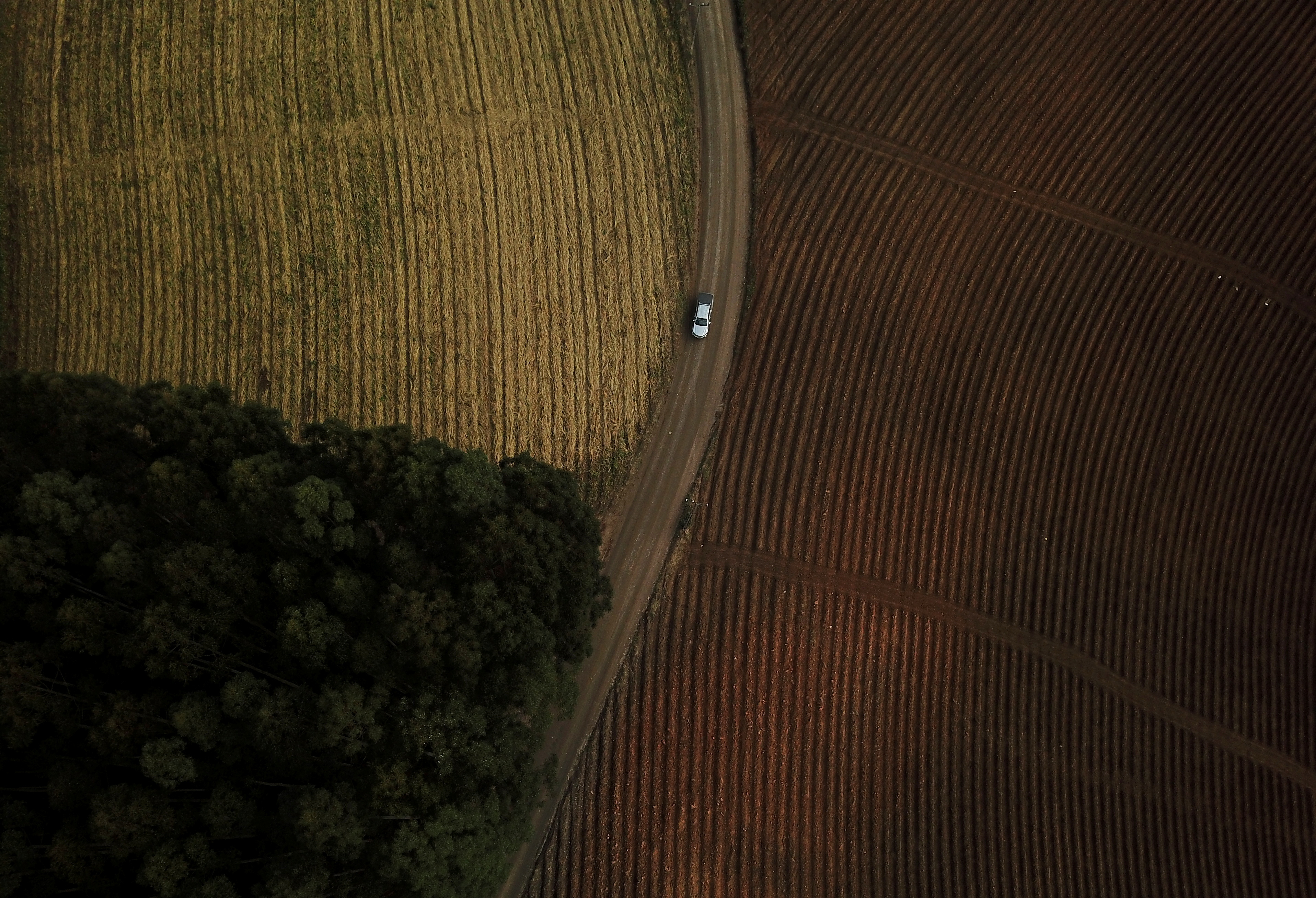 Foto de archivo: un auto circula junto a una plantación de tabaco en una tierra que el pueblo indígena xokleng reclama como su territorio en Vitor Meireles, estado de Santa Catarina, Brasil, en agosto de 2021 (REUTERS/Amanda Perobelli)