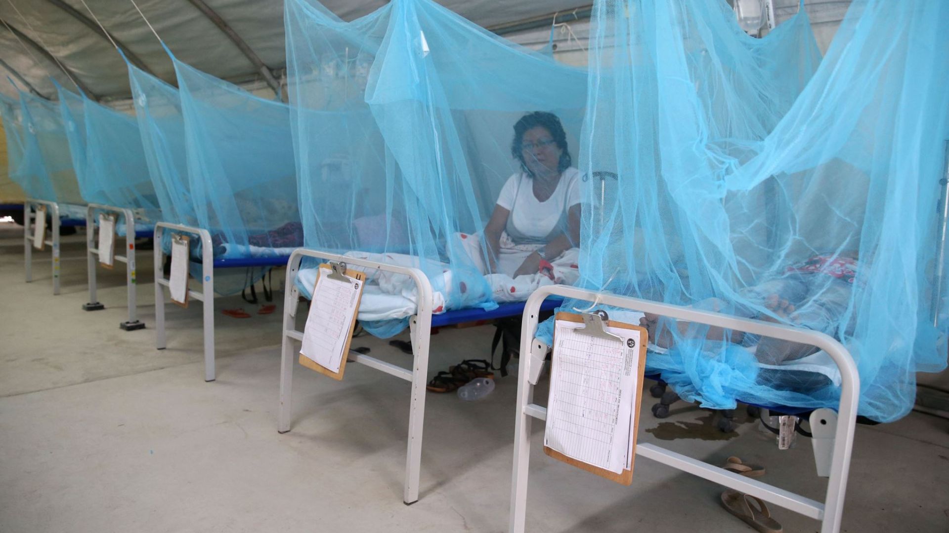 La región de Piura, en la zona norte del Perú, ha sido de las más afectadas por los casos de dengue. (Andina)