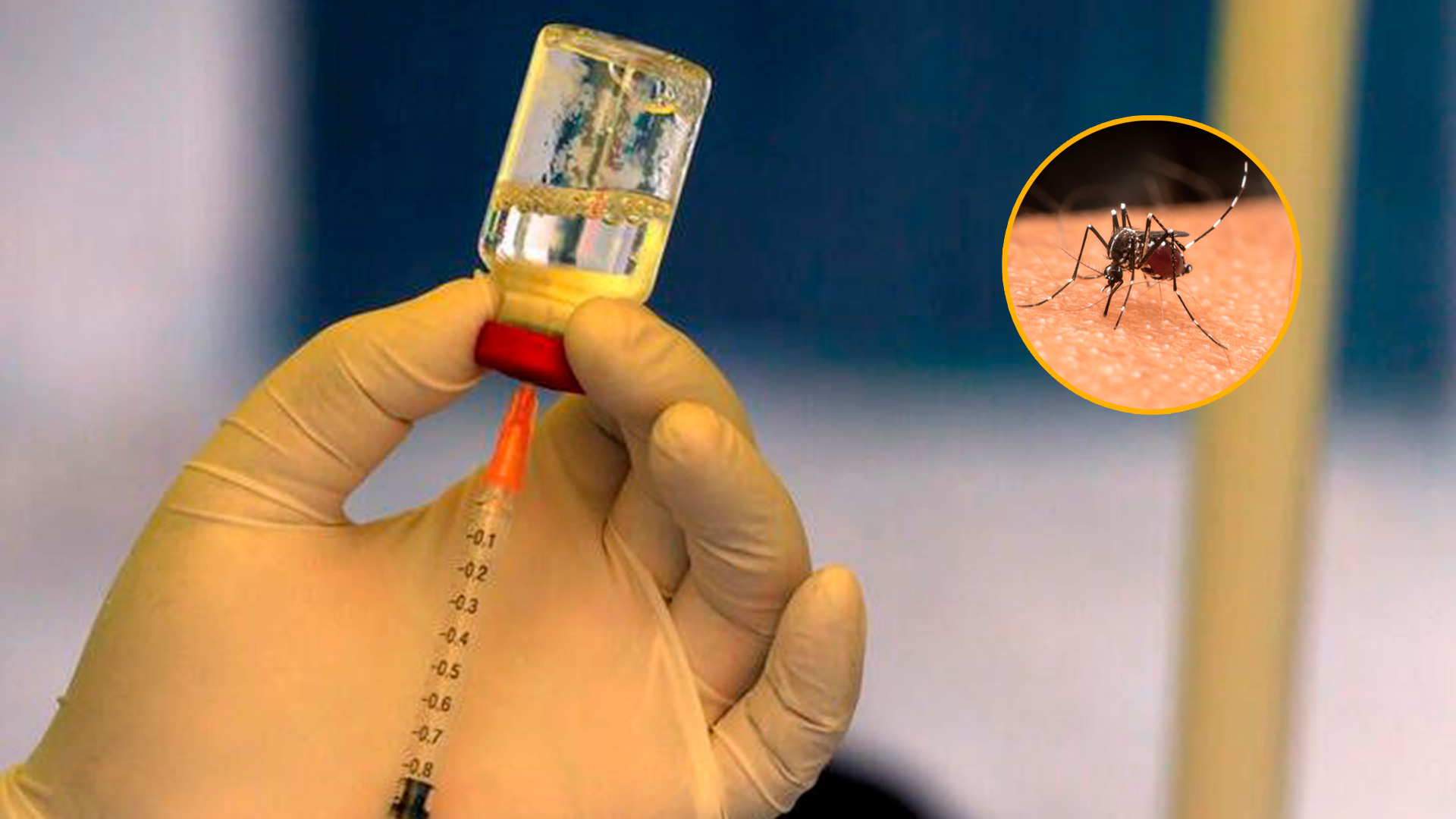 Existen dos vacunas contra el dengue. Y una de ellas fue aprobada esta semana en Argentina