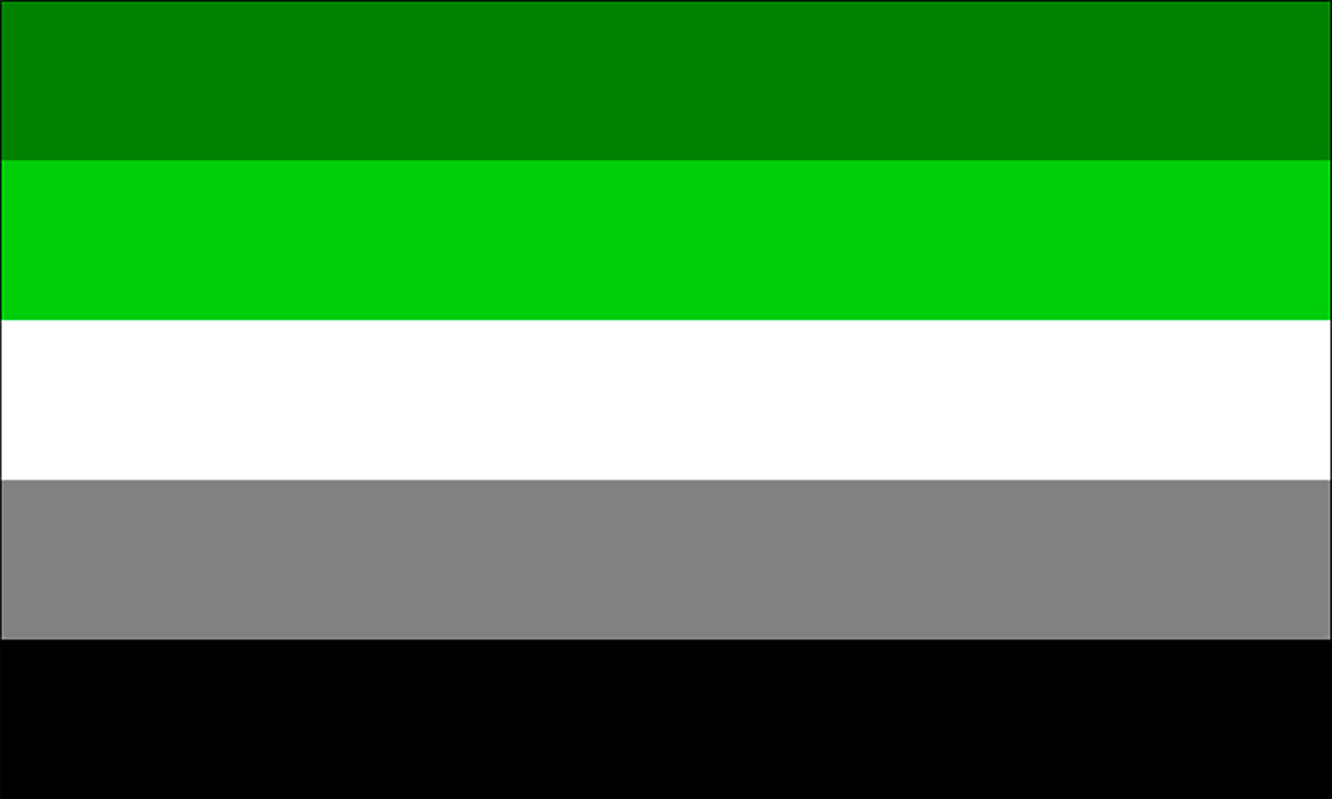 Bandera arromántico (Banderas LGBT+)