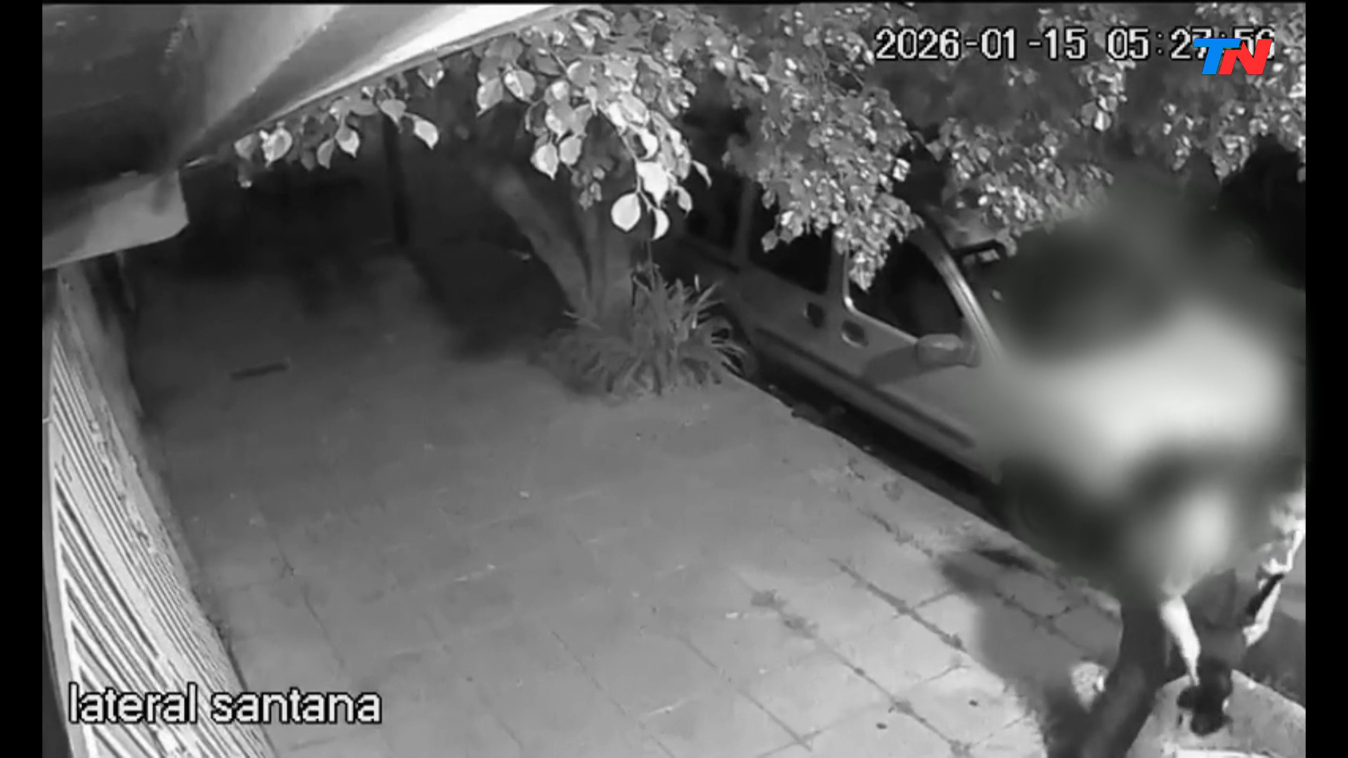 Una diputada libertaria impulsa un examen psicotécnico para ser candidato: “Es romper con un privilegio”