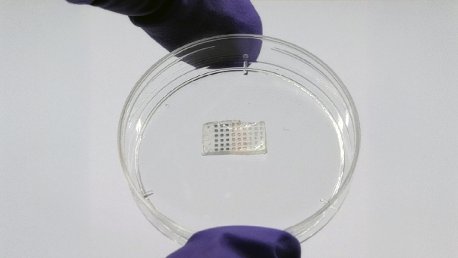 Este es el cardenal más joven que votará para elegir al sucesor del papa Francisco