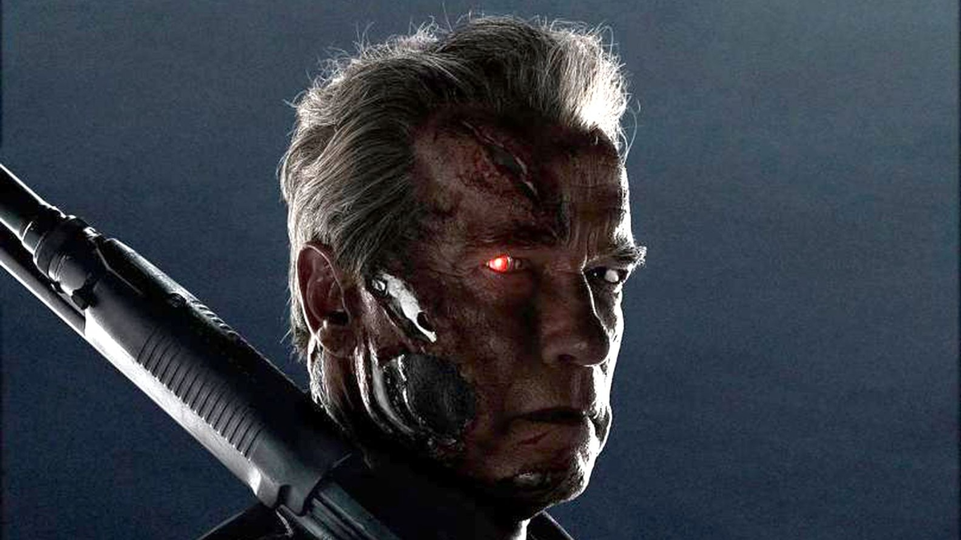 Arnold Schwarzenegger asegura que Terminator continuará, pero su paso por la franquicia ha terminado
