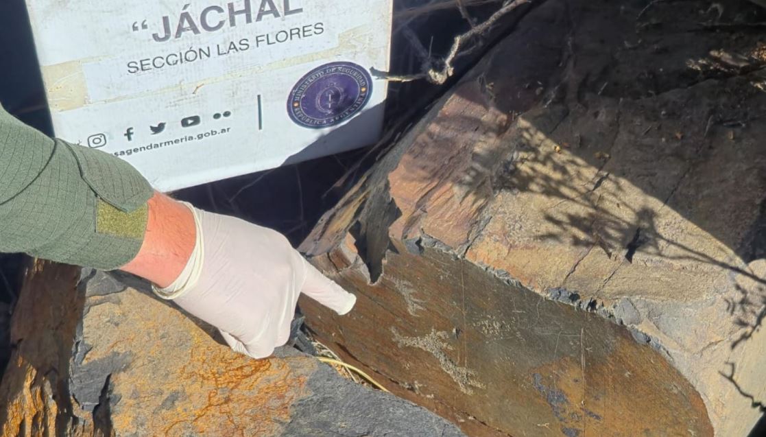 Se levantó el paro de trenes: cómo sigue el reclamo salarial de los trabajadores ferroviarios