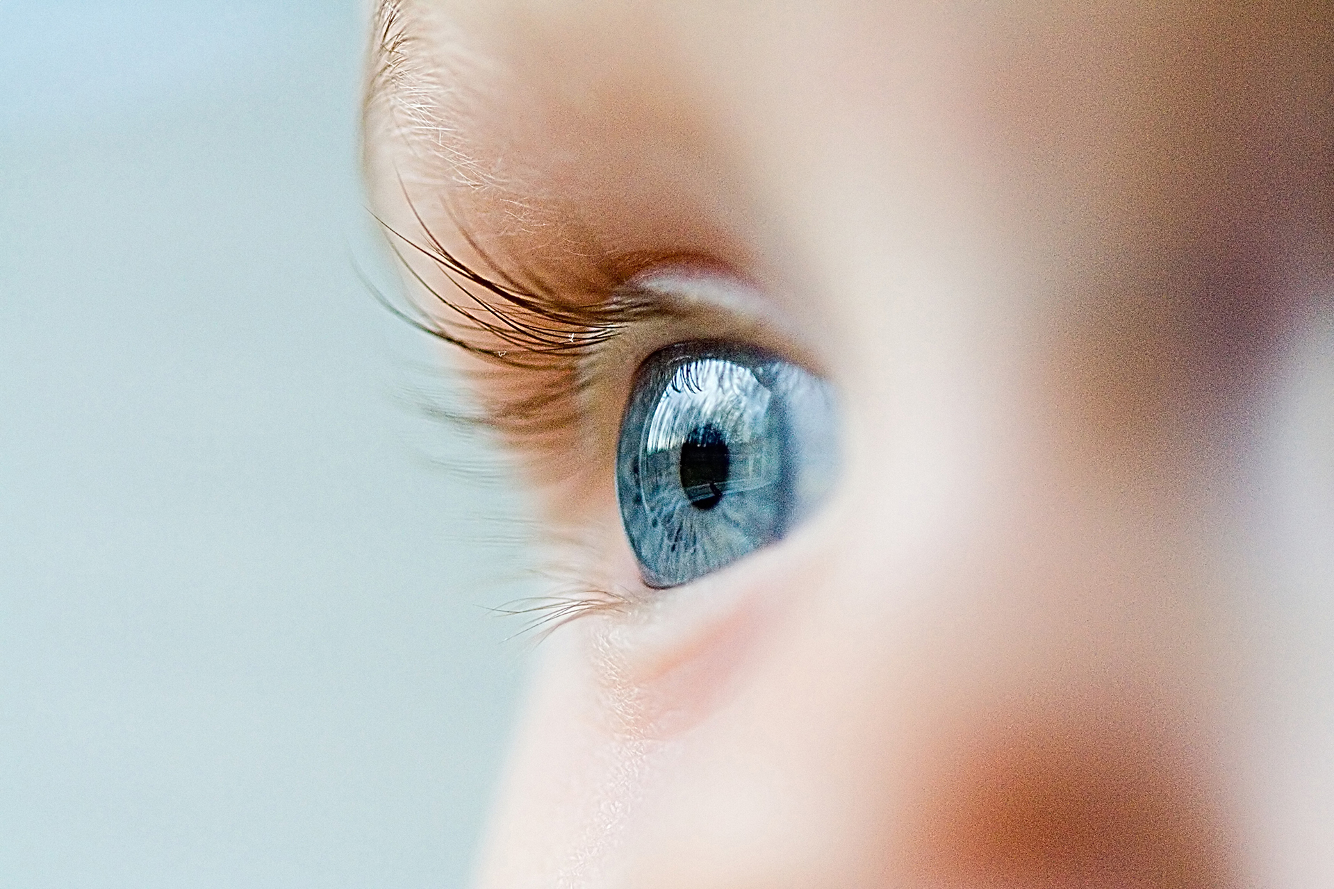 La Academia Americana de Oftalmología insiste en que la detección y el tratamiento temprano de los problemas de visión pueden evitar la progresión de la pérdida de la vista y prevenir enfermedades (Shutterstock)