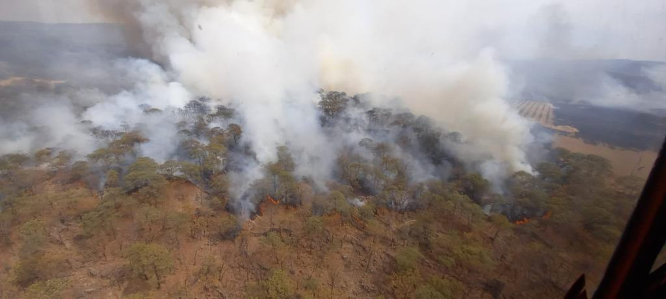“Se me queman los pulmones”: incendio en Bosque Primavera desató reclamos al gobierno de Jalisco 