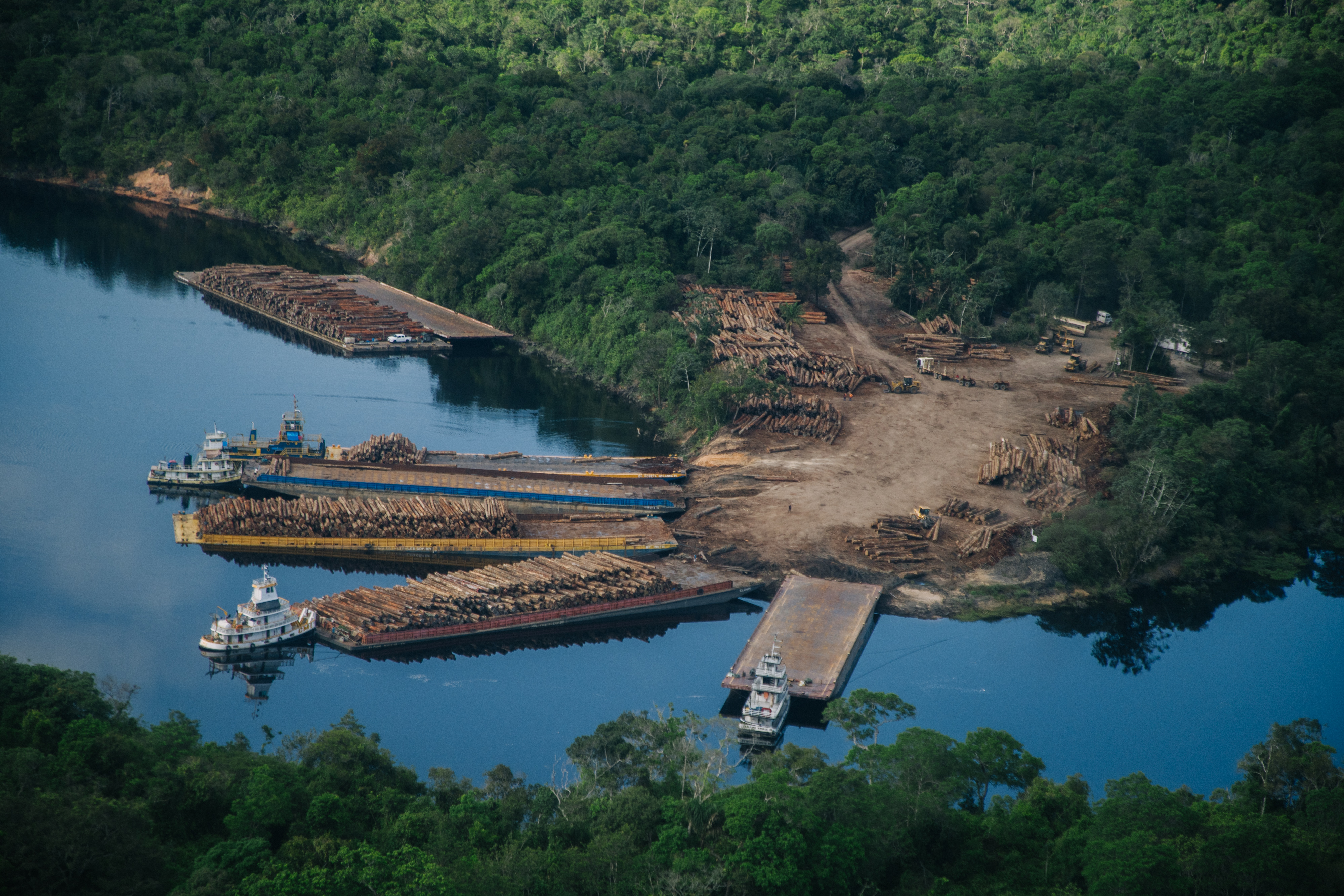 La Amazonia ha perdido el 30% de su capacidad de absorción de CO2