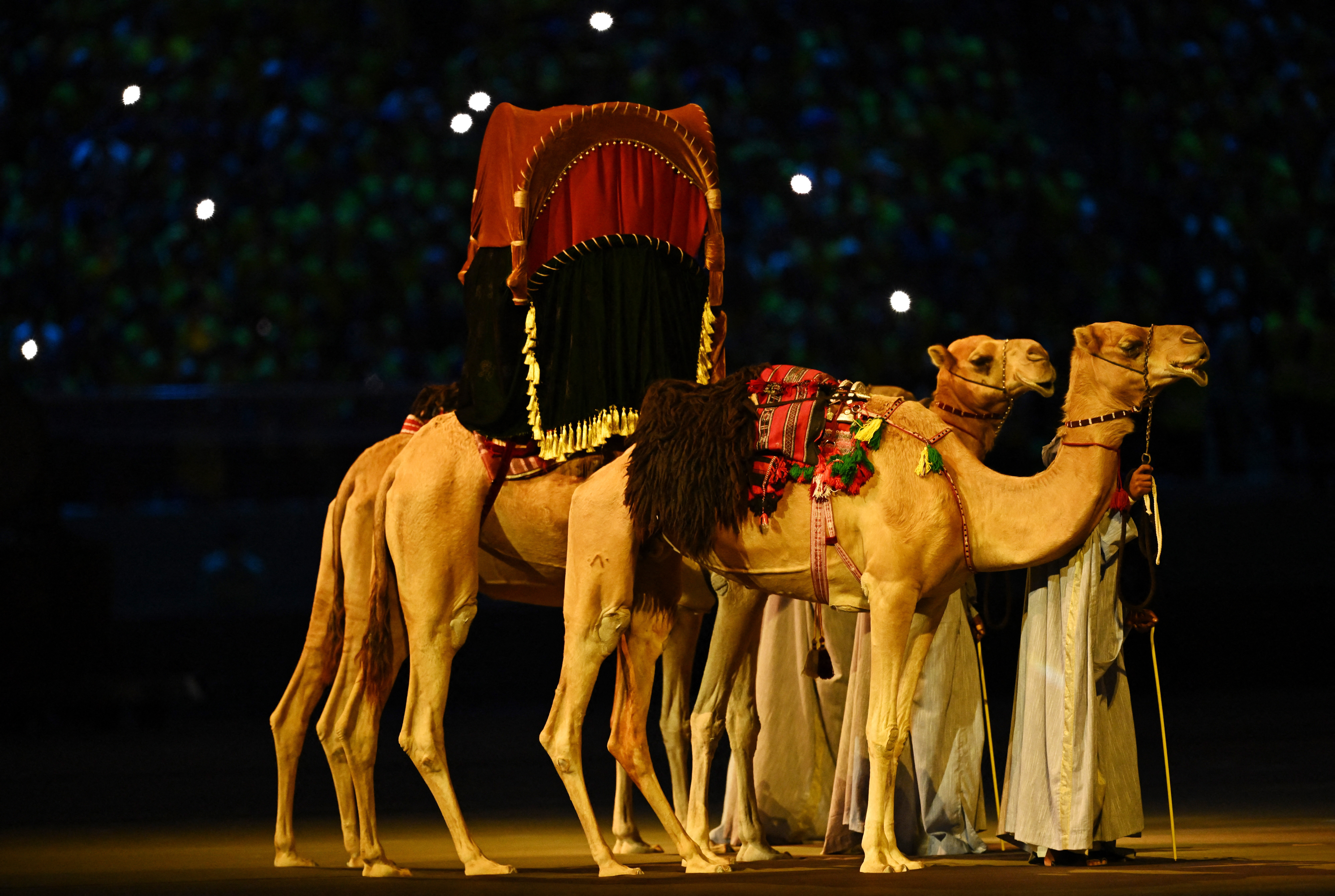 Los camellos, característicos del desierto qatarí, desfilaron por el Al Bayt (REUTERS/Dylan Martinez)