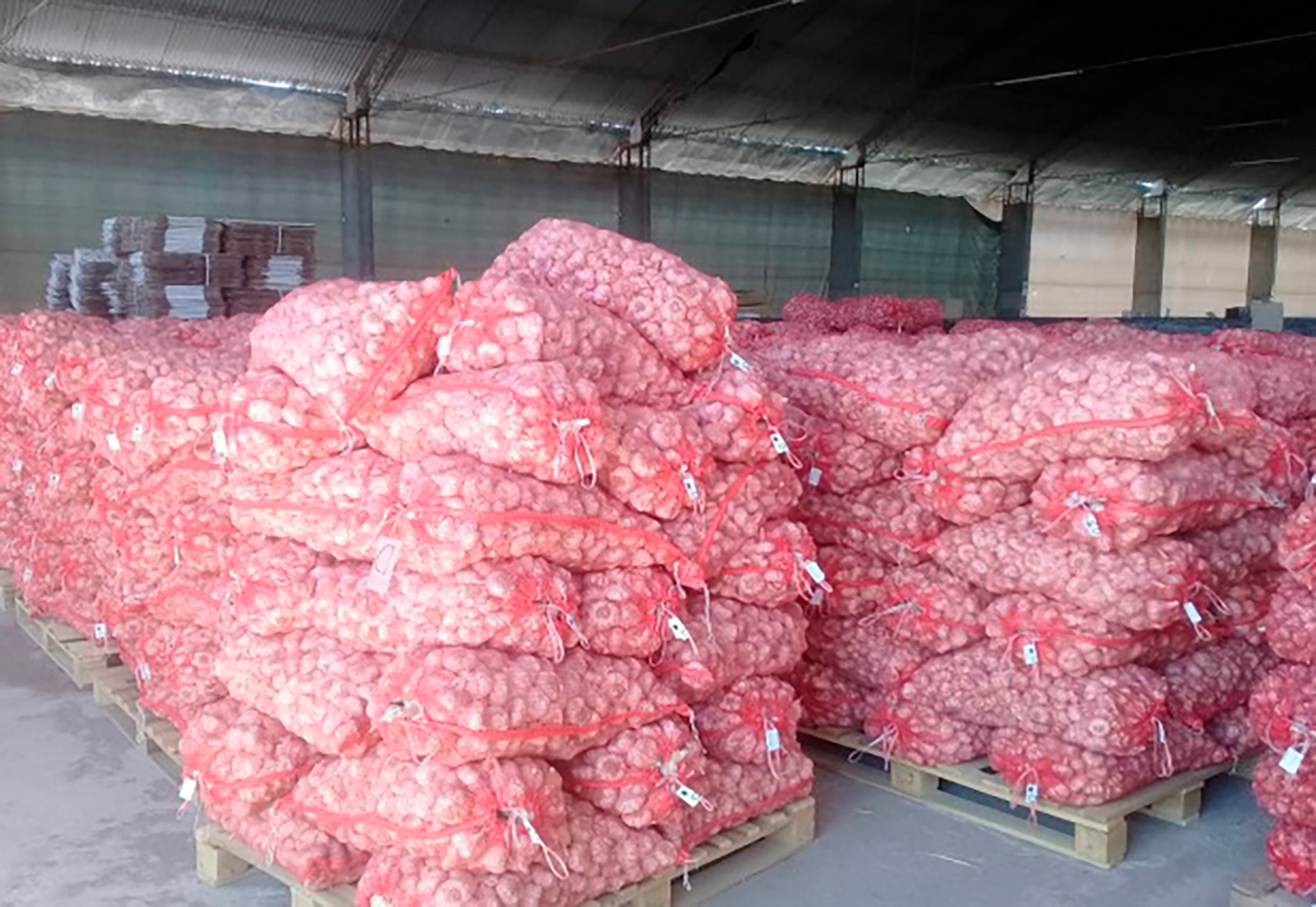 Seis camiones no pudieron justificar el origen de la mercadería. 