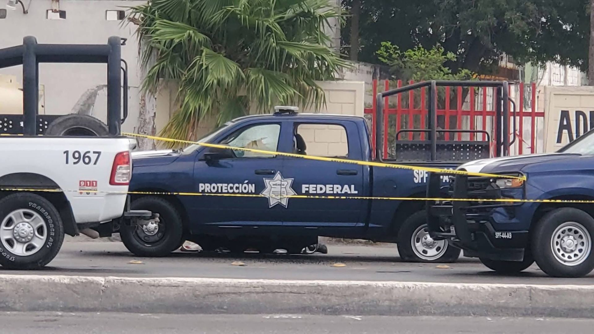 Atacan a balazos a elementos de Protección Federal tras un choque en Tamaulipas: un agente murió y otro resultó herido - Infobae