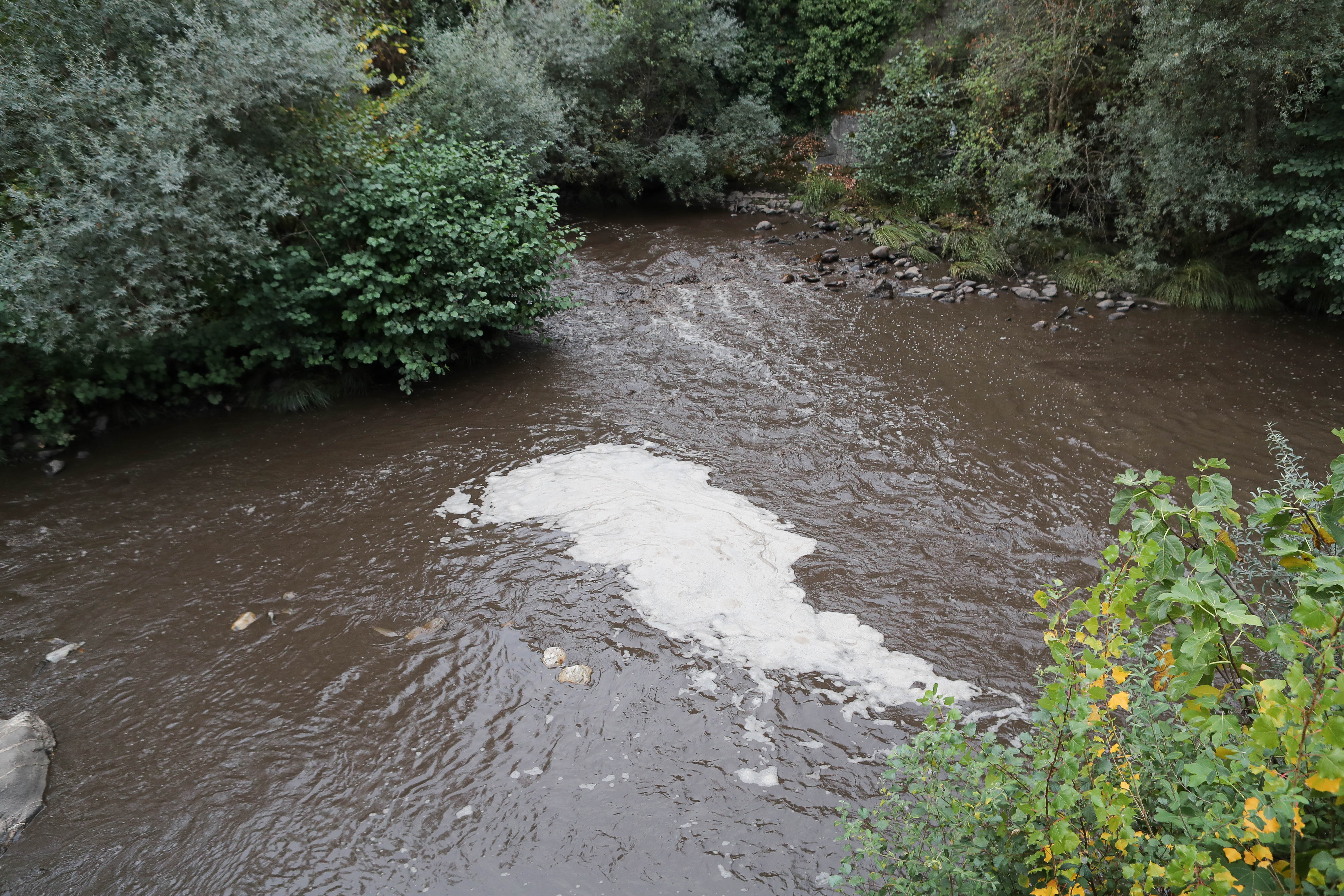 El Valle del Jerte al filo del agua gris Image
