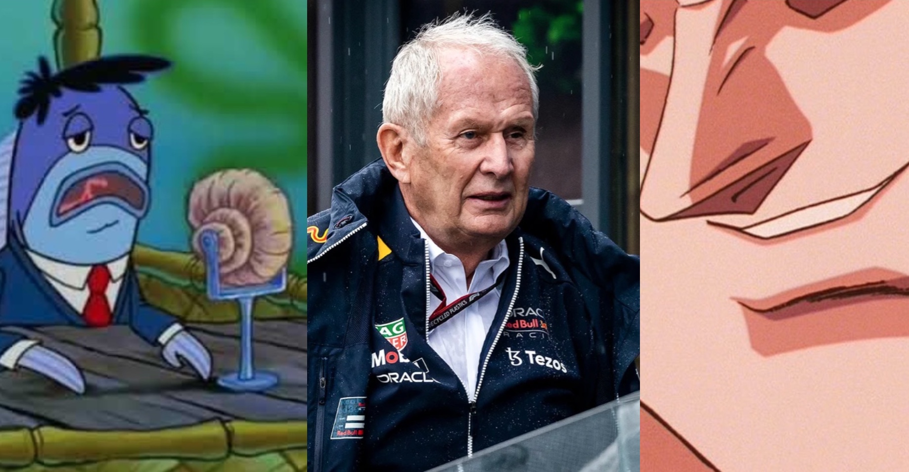 Los Mejores Memes Que Dej Helmut Marko Tras El Nuevo Error De Checo