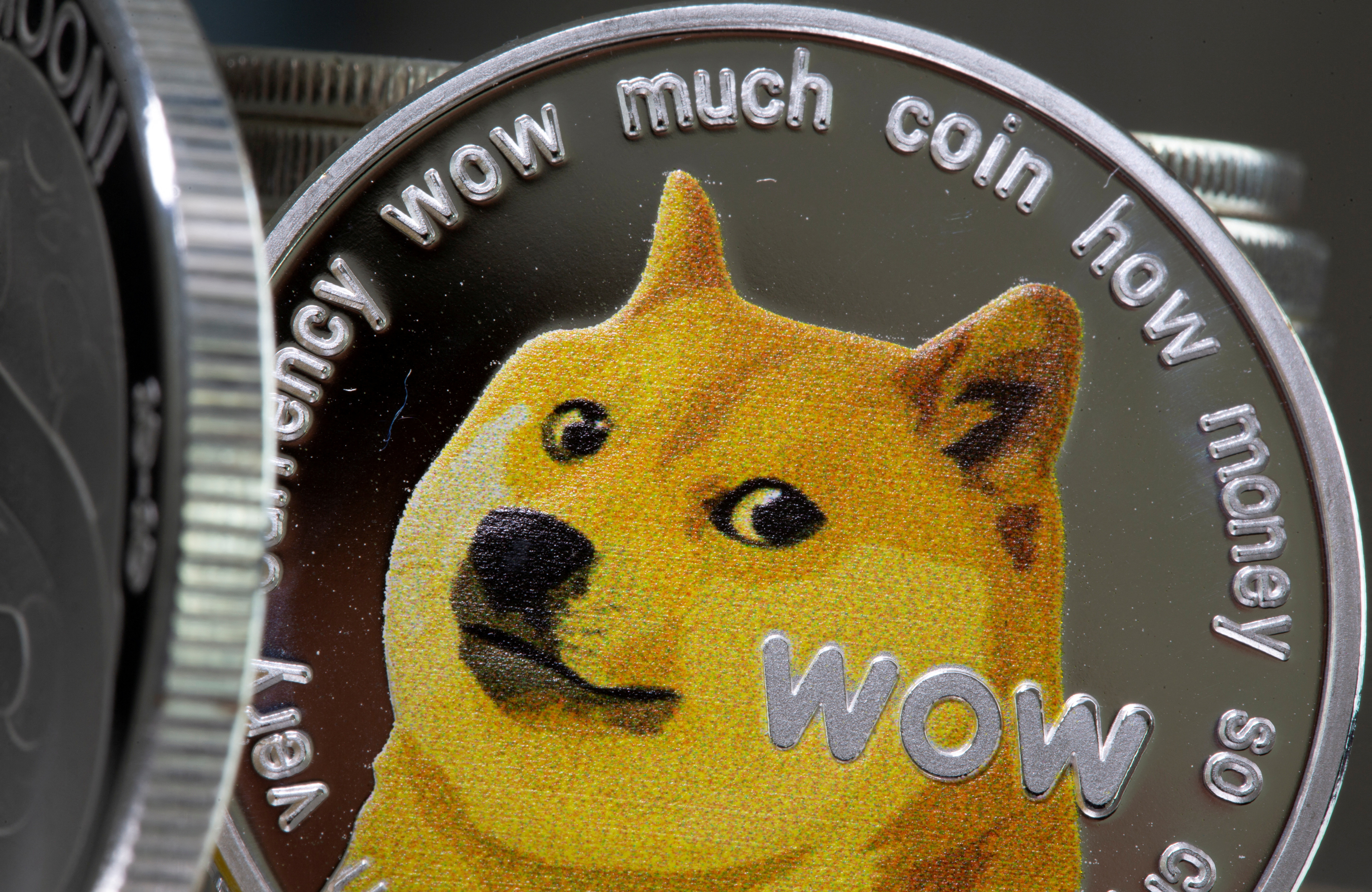 Tres secretos de Dogecoin, la criptomoneda favorita de Elon Musk - Infobae