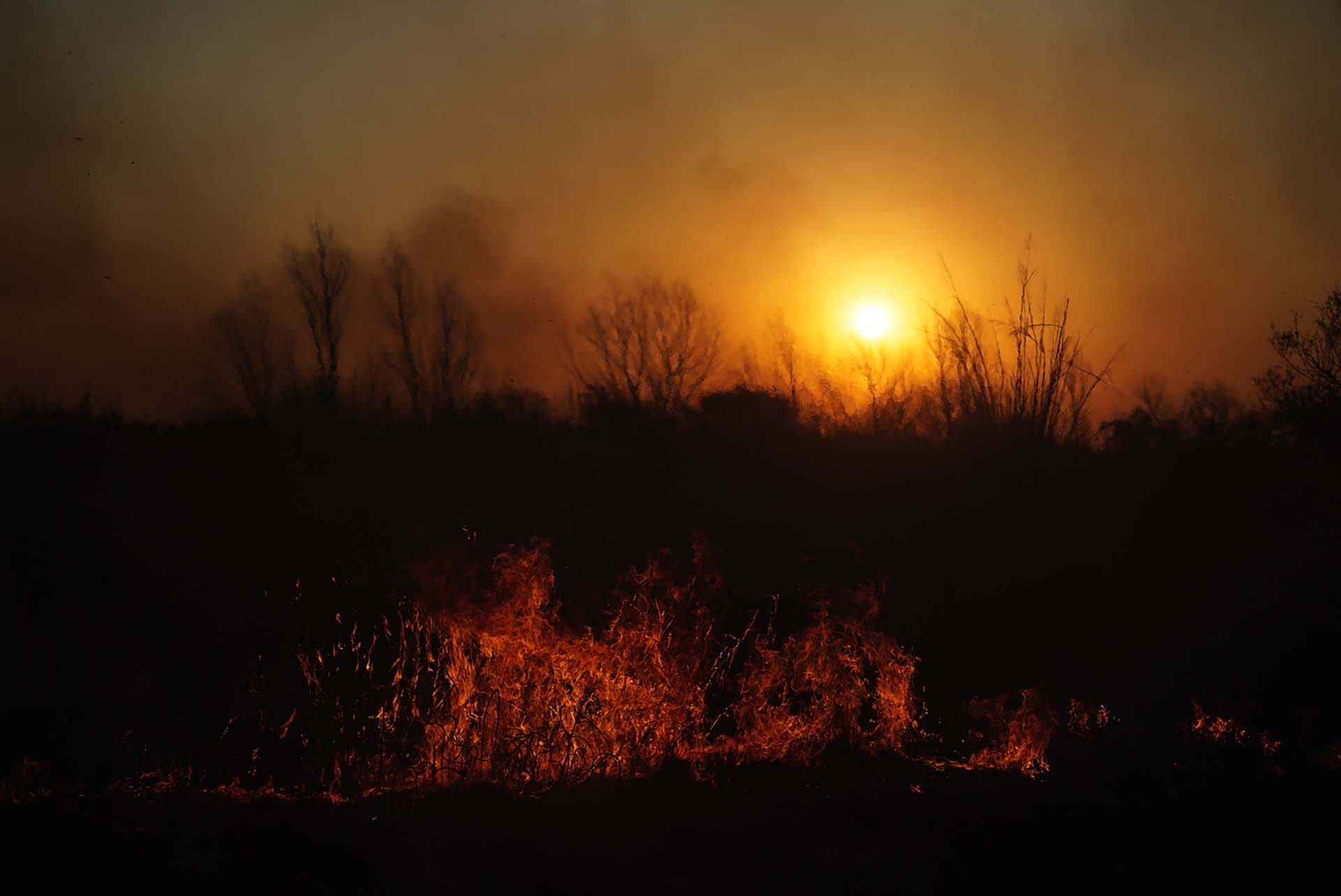 El fuego y el atardecer entre el humo. Ya fueron arrasadas más de 100.000 hectáreas (Franco Fafasuli)