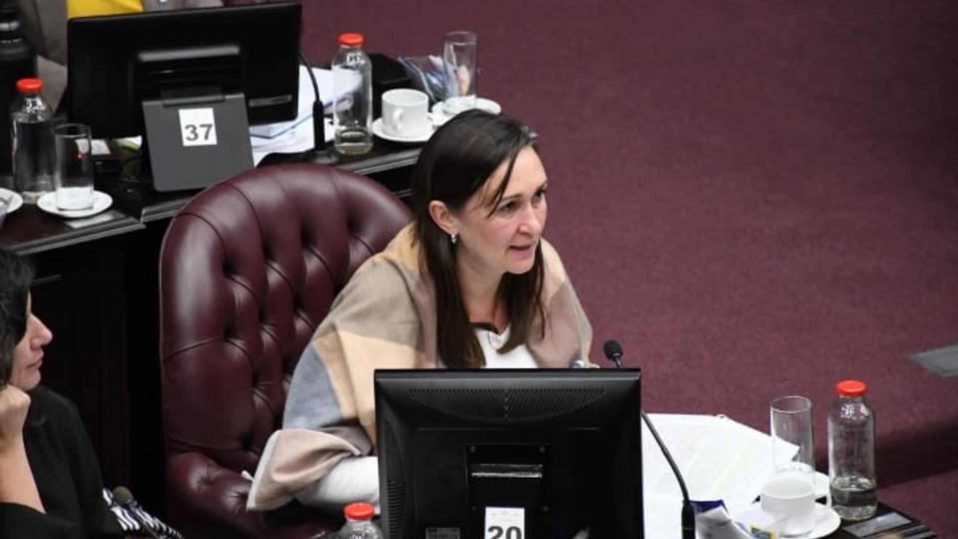 Dolor por la repentina muerte de una diputada de San Luis a los 46 a&ntilde;os