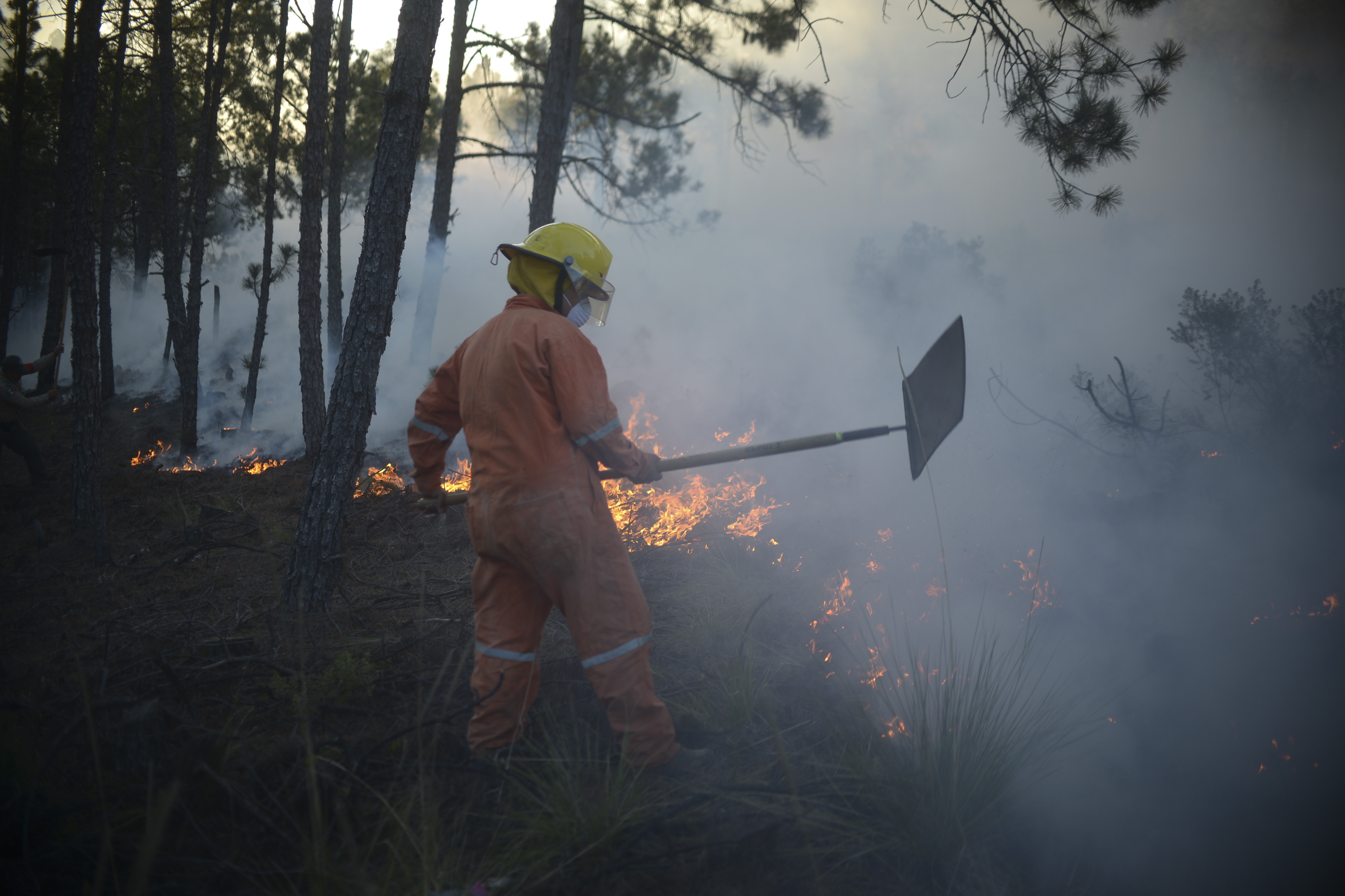 Excursionistas Perdidos Prenden Fogata Y Provocan Incendio Forestal En Nuevo León Infobae 1668