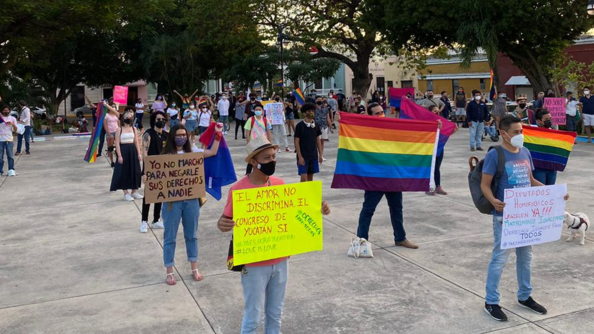 La SCJN tendrá en sus manos un nuevo caso de matrimonio igualitario, tema que ya han protegido en otro momento (Foto: Cortesía Colectivo PTF Yucatán)