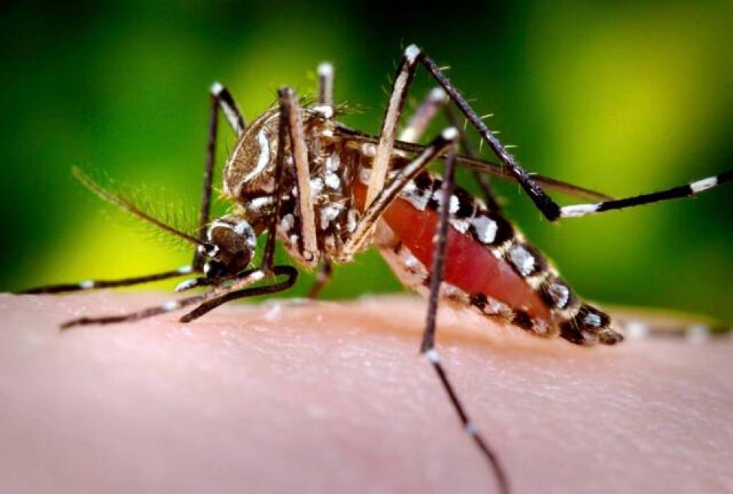Cruz Roja alerta sobre riesgo de contagio de Dengue aún en temporada seca