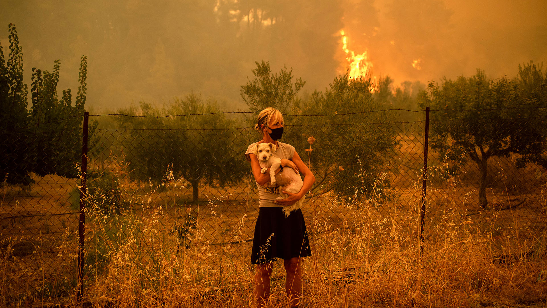 Se han perdido 150 hogares en el área metropolitana de Atenas durante la semana más intensa de los incendios del mes pasado (Foto: AFP)
