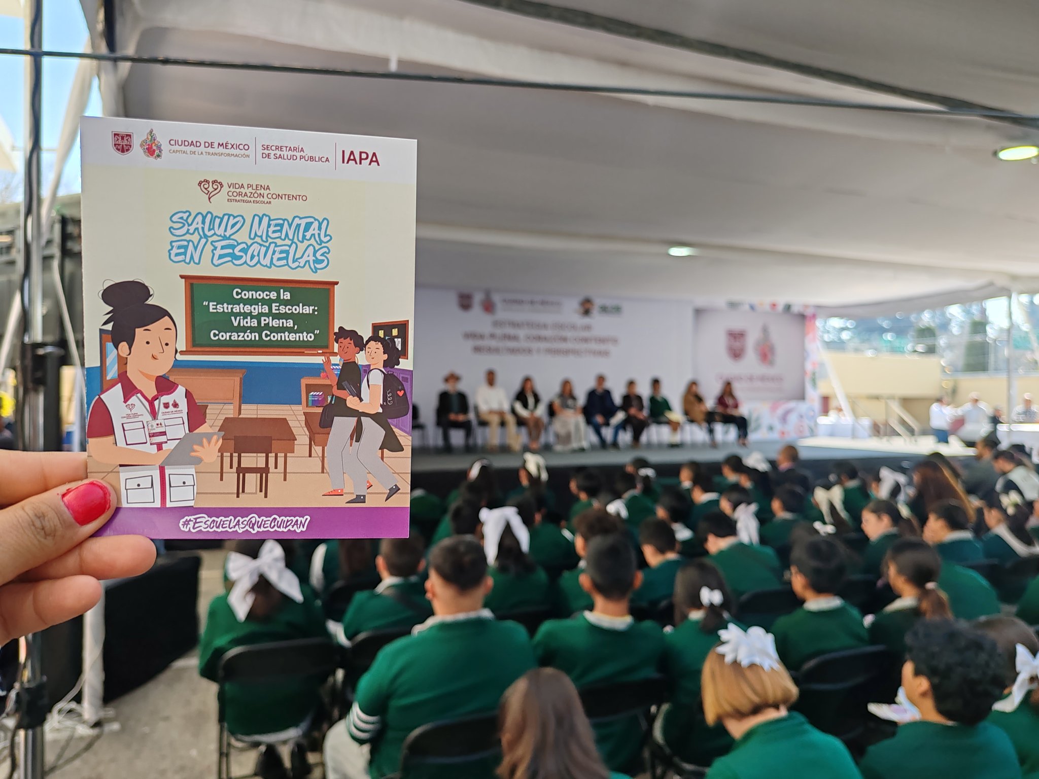Seis alumnos al borde: lo que encontró el programa de salud mental en los bachilleratos de la capital