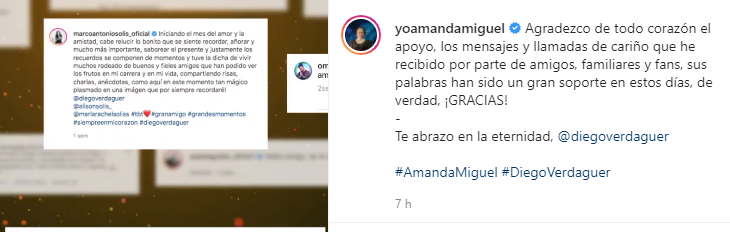 Amanda Miguel agradeció el apoyo (Foto: Ig yoamandamiguel)