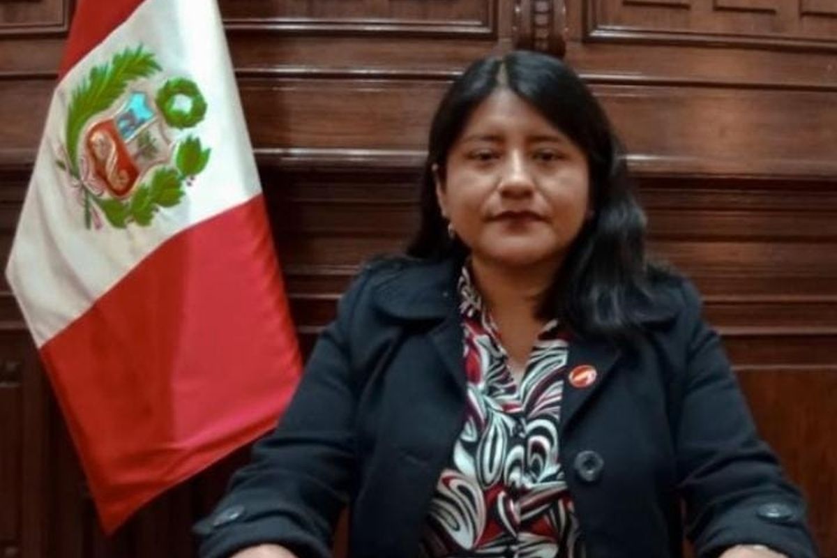 Congresista que planteó cambio de la Bandera del Perú pidió disculpas por polémica propuesta: “errar es humano”