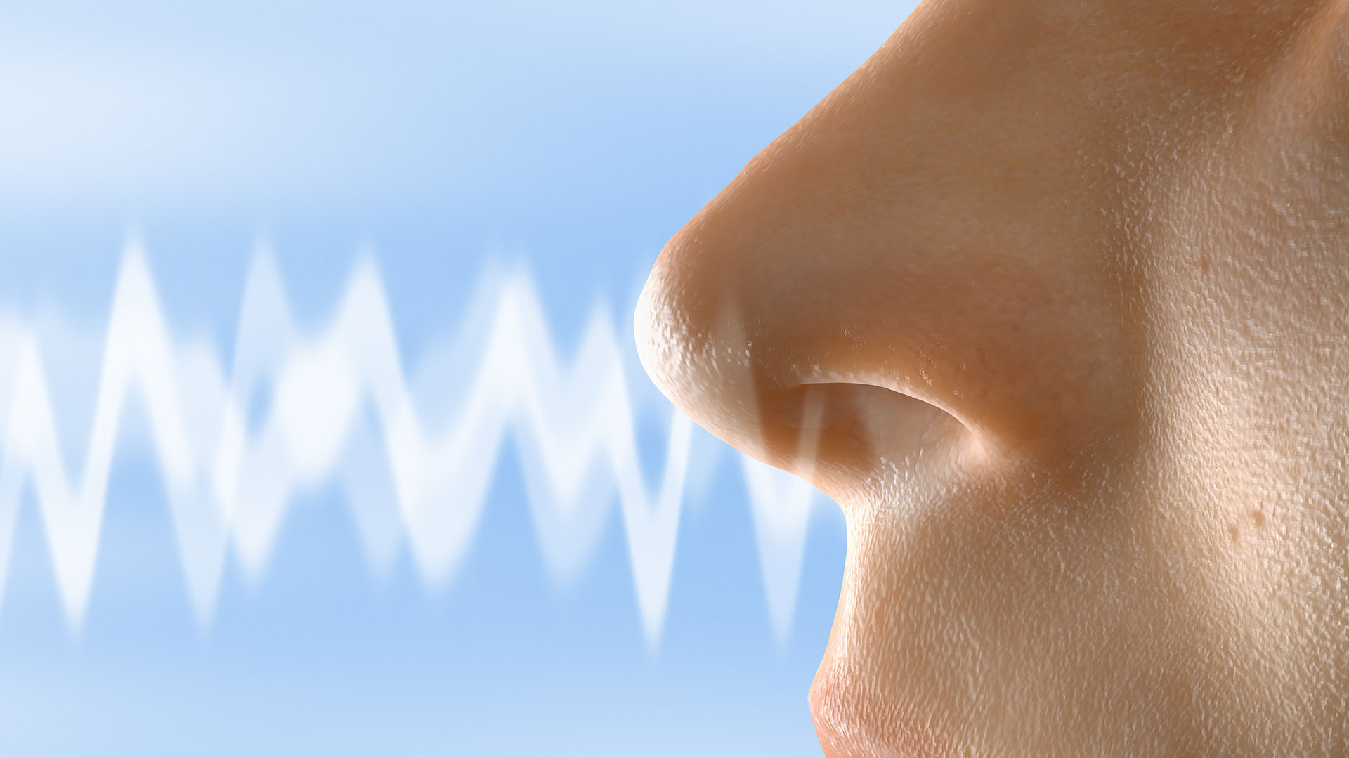 El olfato tiene unos 350 receptores mientras que el gusto solo 5 en la zona de la lengua y del paladar (Getty Images)
