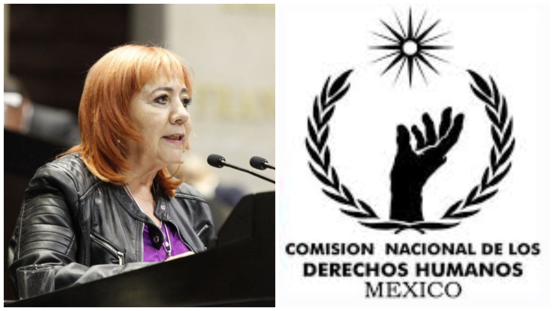 De qué va la iniciativa de Rosario Piedra para convertir la CNDH en la  “Defensoría del Pueblo” - Infobae