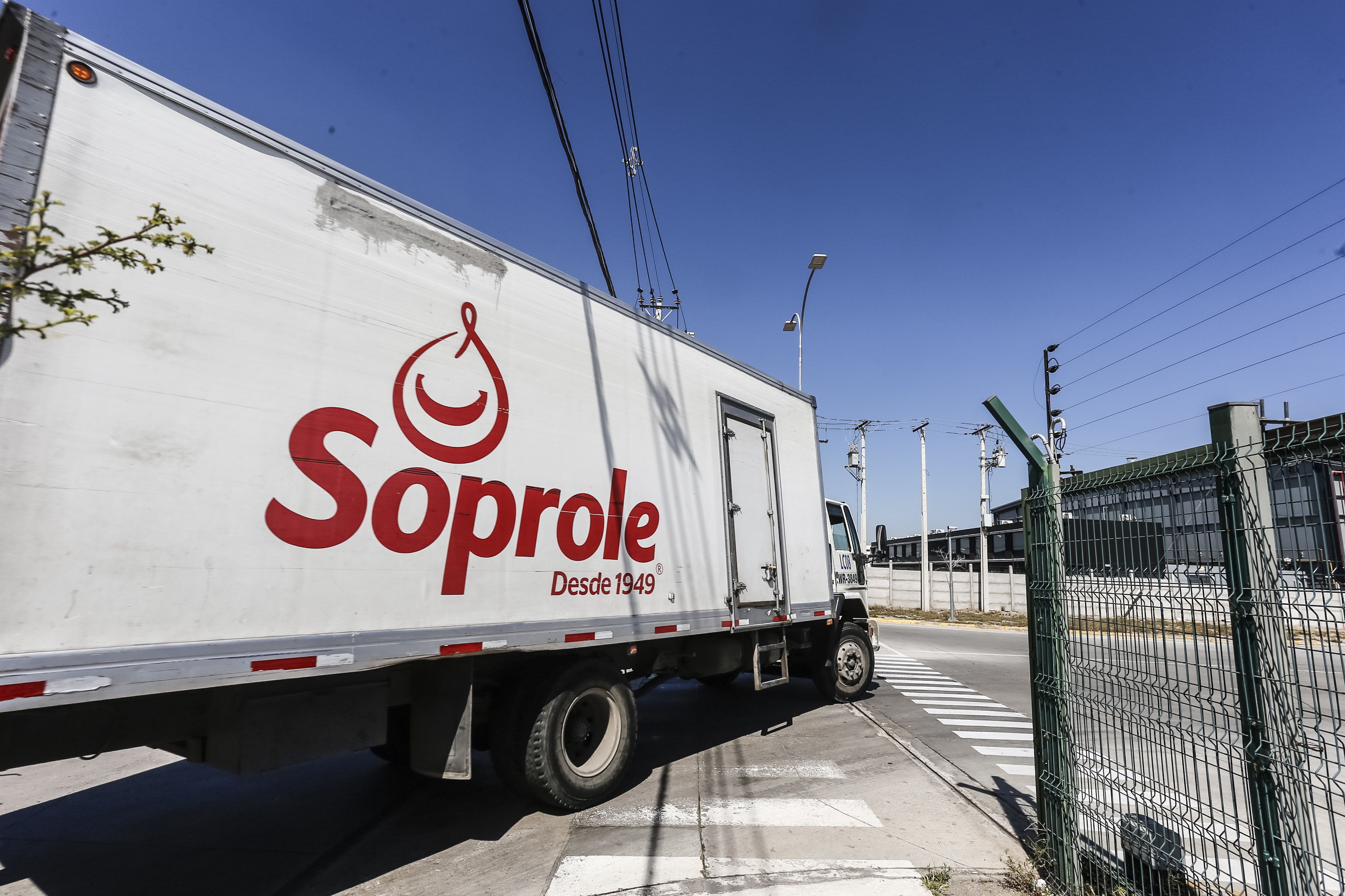 Soprole es el segundo principal comprador de leche cruda a los proveedores de Chile, con un 22.7% de la participación en las transacciones.