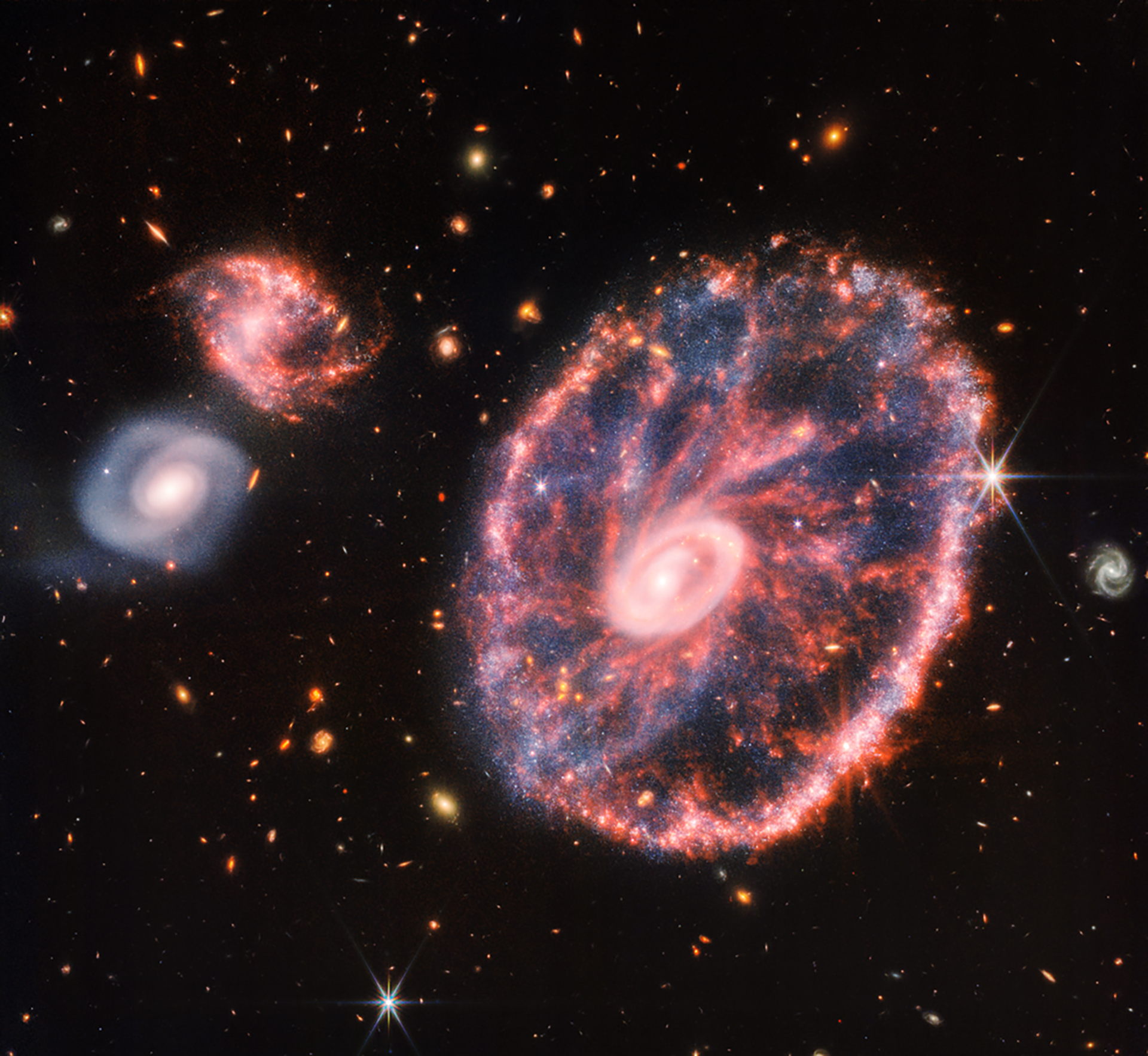 En agosto de este año, la NASA dio a conocer una imagen de la Galaxia Cartwheel (ubicada a unos 500 millones de años luz de la Tierra), ubicada en la constelación Sculptor / (NASA, ESA, CSA, STScI, equipo de producción de Webb ERO)