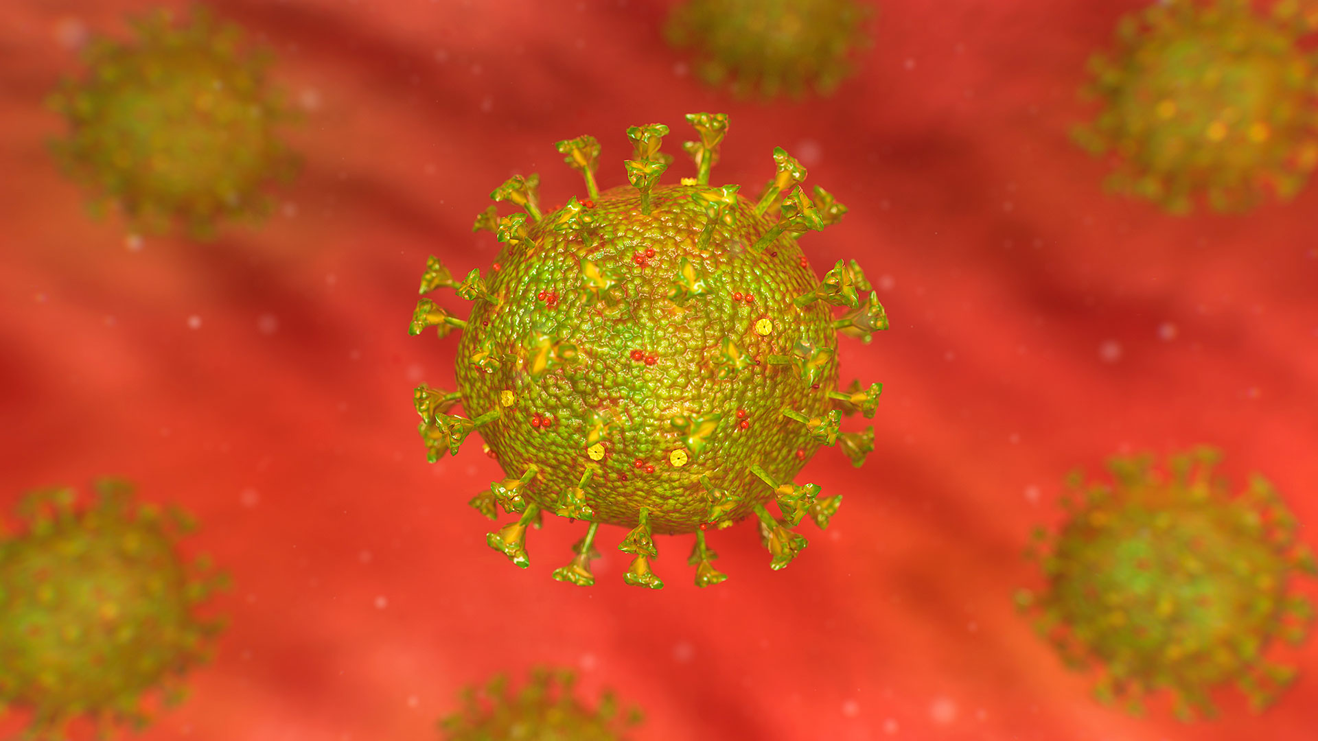 Que una persona infectada con COVID-19 desarrolle la enfermedad depende de cómo reaccione su sistema inmunológico al virus