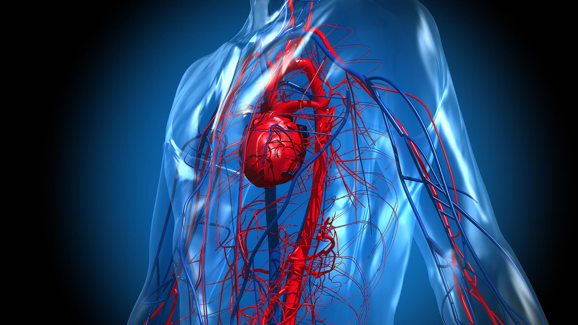 La enfermedad cardiovascular aumentó después del COVID-19, principalmente por embolia pulmonar, arritmias auriculares y trombosis venosa (Getty)