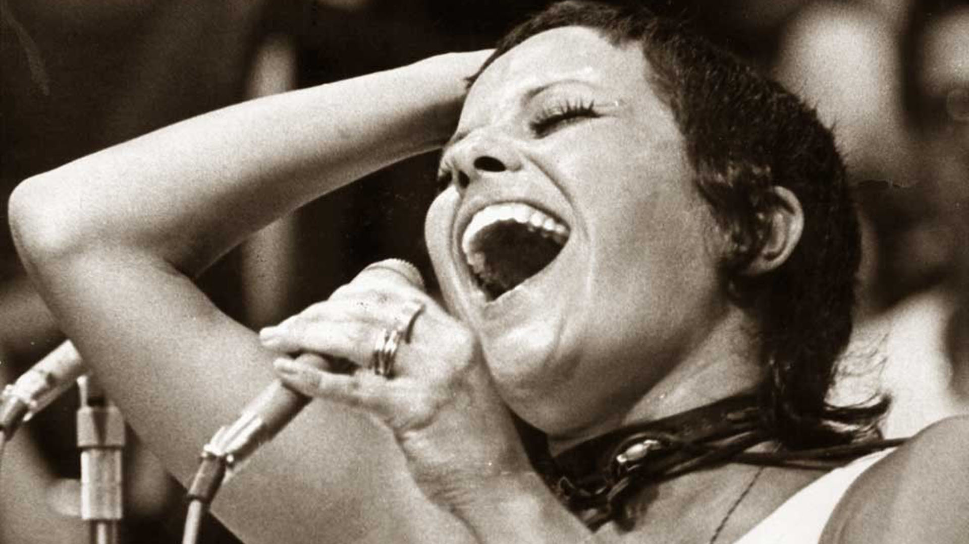 A 40 años de la muerte de Elis Regina, la voz que transformó la música de Brasil para siempre