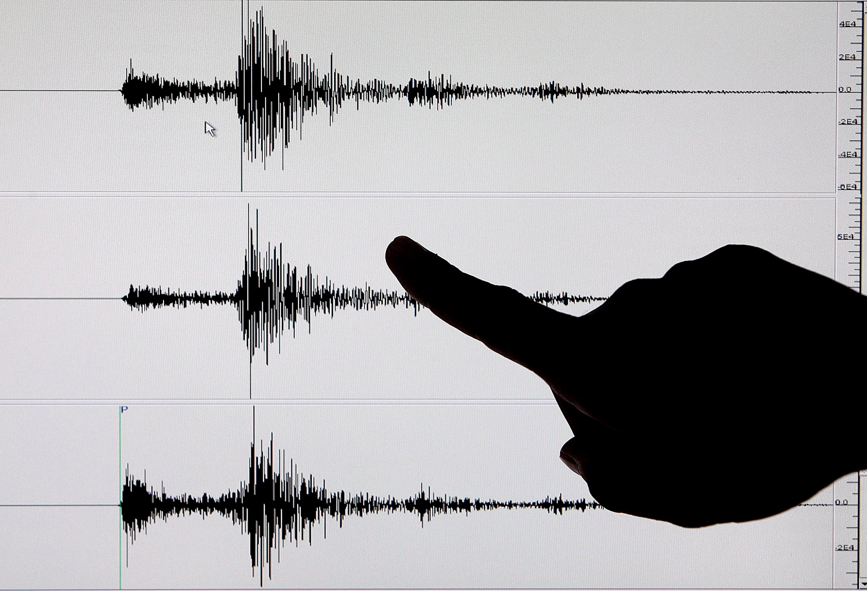 El temblor se produjo a las 20.47 hora local (01.47 GMT), con origen a 14 kilómetros al sureste de Acapulco, en el sureño estado de Guerrero, de acuerdo con un reporte preliminar del Servicio Sismológico Nacional. En la imagen un registro de archivo de un sismógrafo. EFE/Alanah M. Torralba
