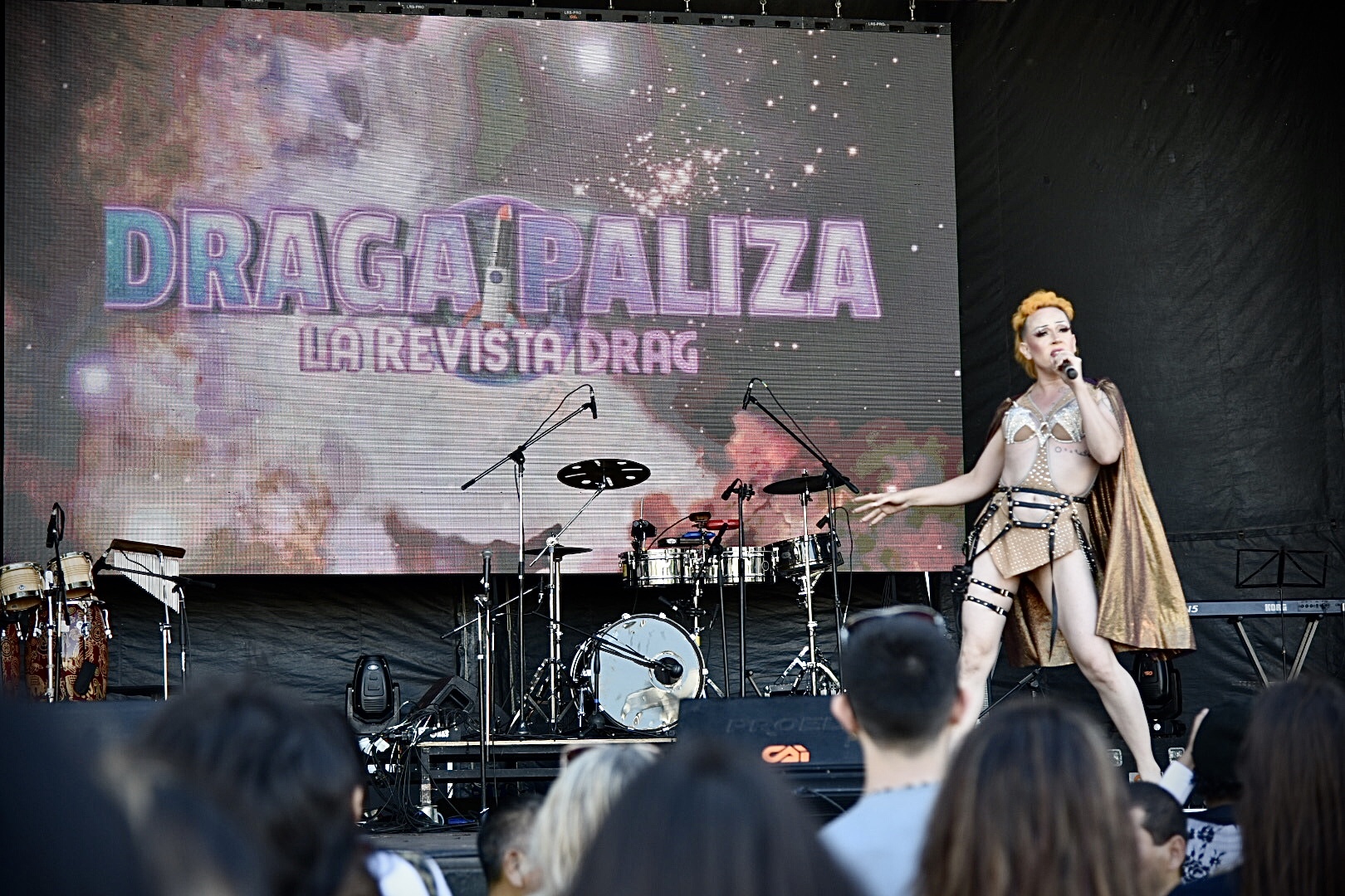 Draga Paliza presenta cuadros de rock, pop, ópera, folklore, tango, bandas, pasarelas temáticas, lip syncs, voguing y más (Crédito: Ariel Torres)