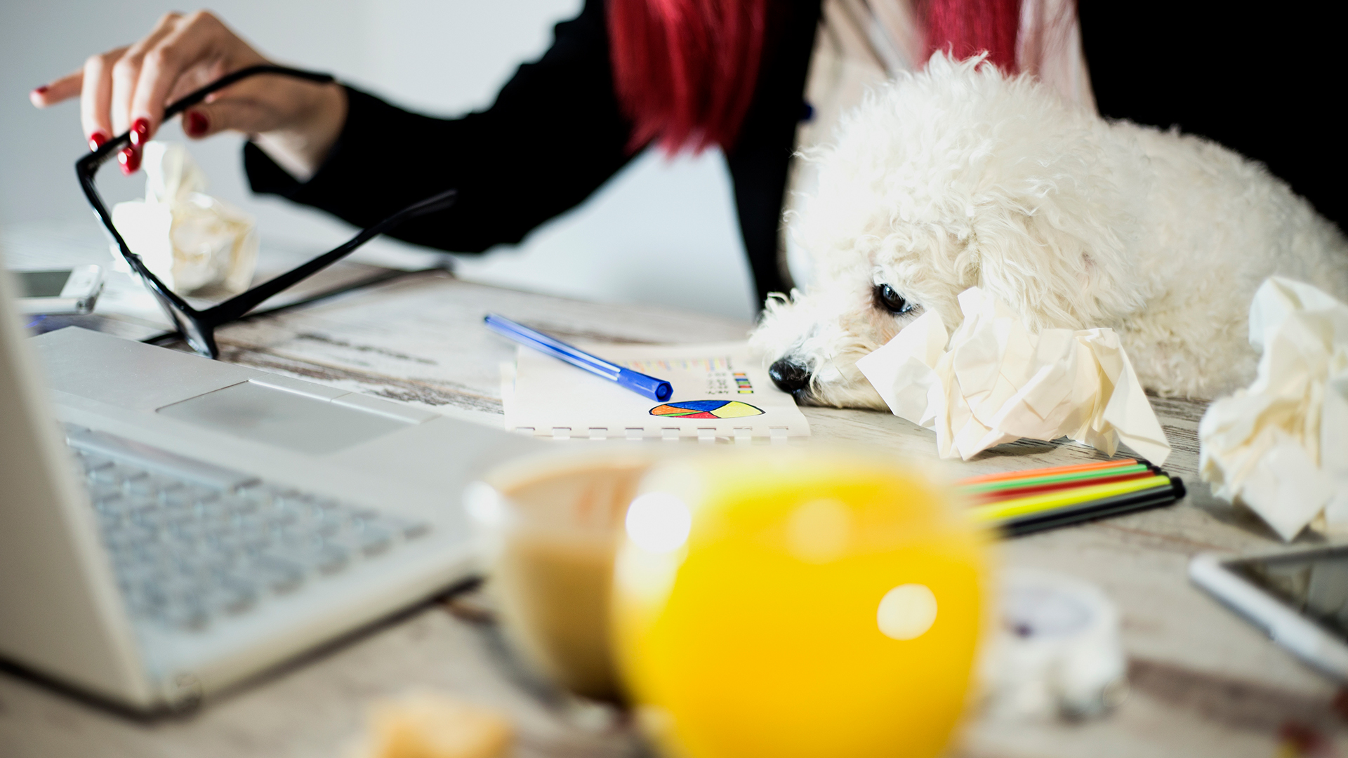 Las pausas que haga el dueño del perro en el trabajo deben estar dedicadas a la mascota (iStock)