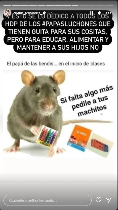 Una publicación anterior de Cinthia Fernández en la que también consideraba a Matías Defederico como una "rata" por el dinero que le pasaba para comprar los útiles para sus hijas (Foto: Instagram)