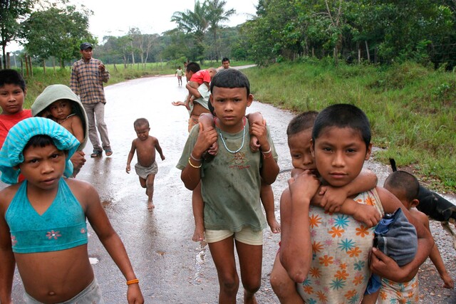 Indígenas nukak y campesinado de Guaviare presentan acuerdo de convivencia  - Infobae
