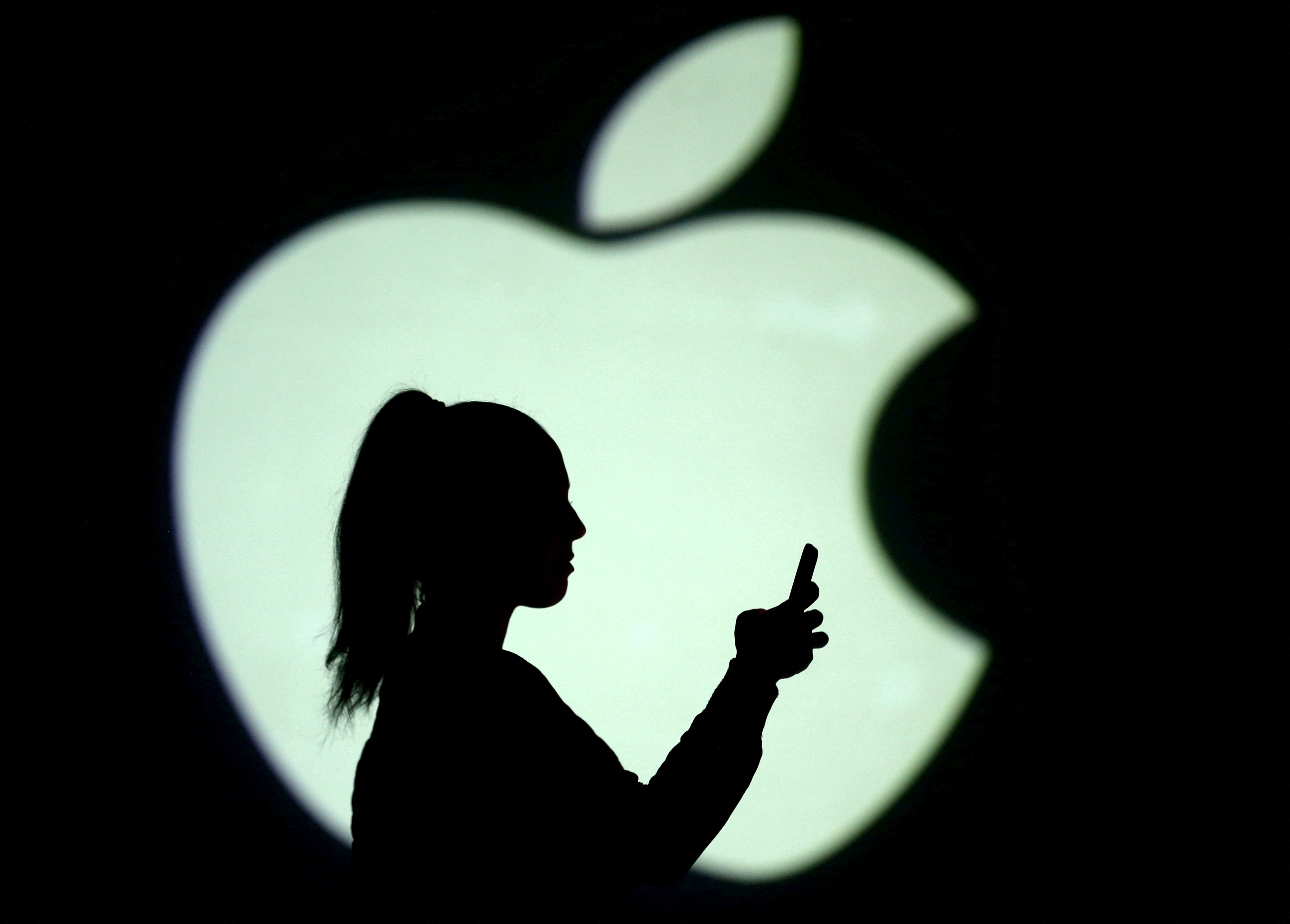 Los usuarios pueden instalar la beta (Foto: REUTERS/Dado Ruvic/Illustration/File Photo)