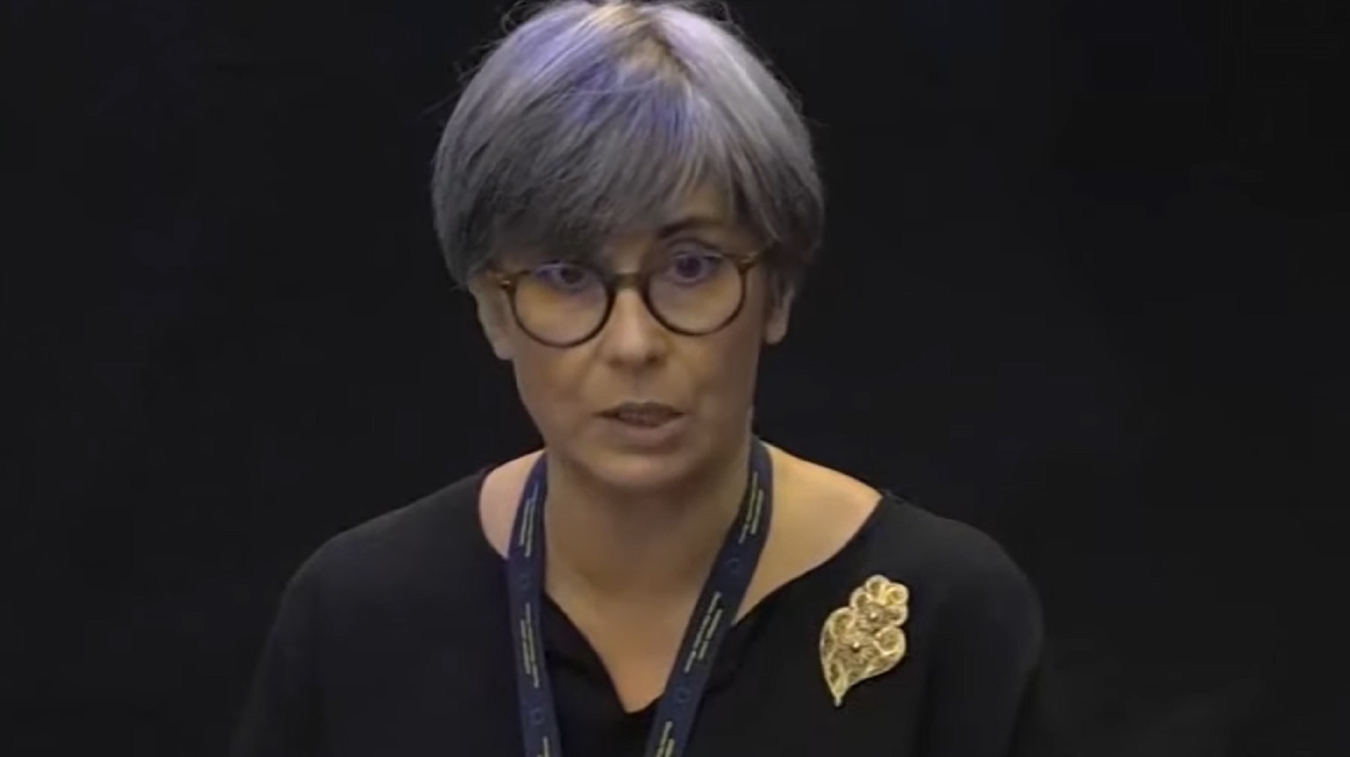 Isabel Santos, jefa de la misión observadora de la Unión Europea en Venezuela