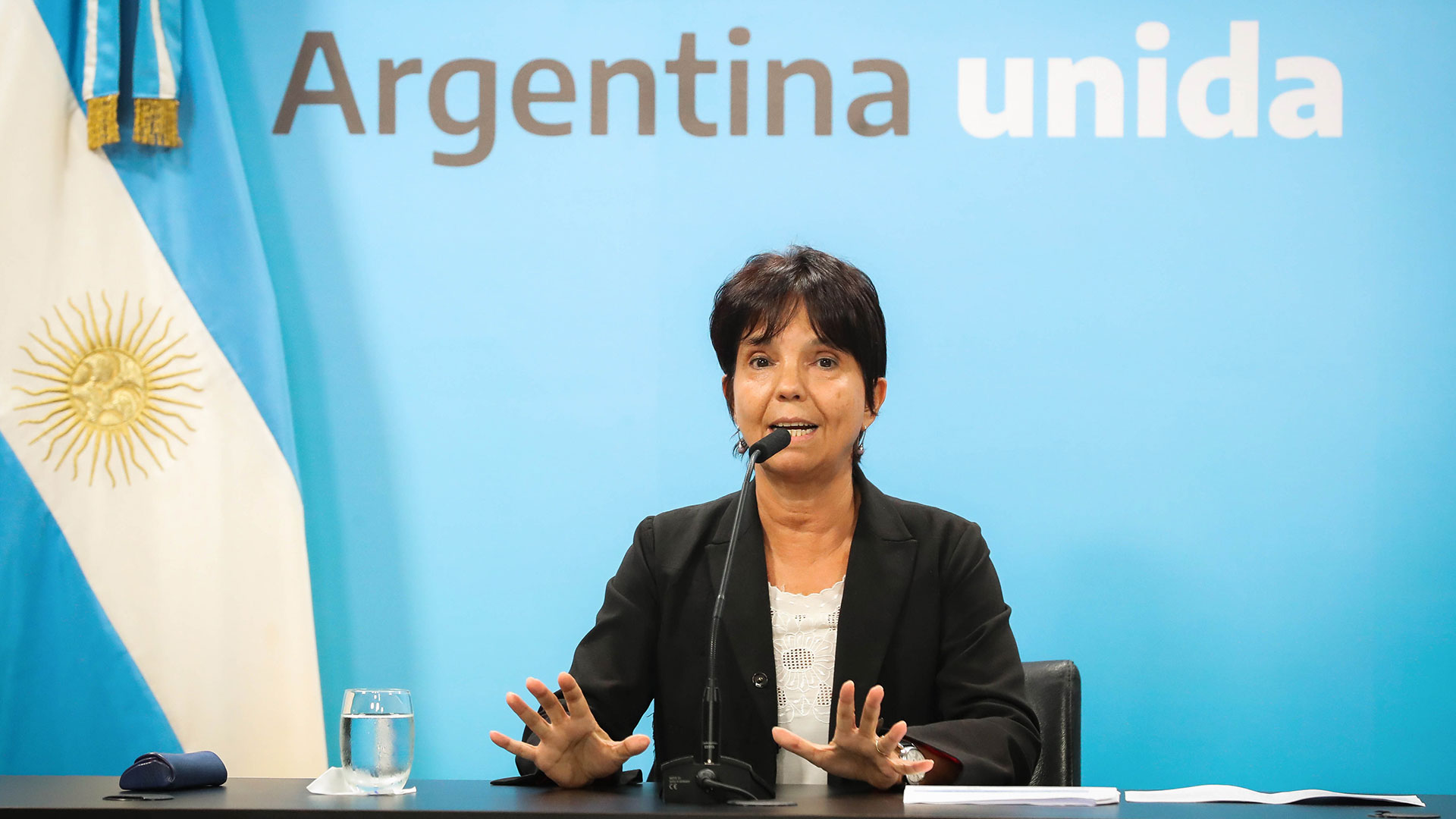 La directora general de la AFIP, Mercedes Marcó del Pont, explicó a través de un detallado informe, las causas de la caída de la recaudación en términos reales (Télam)