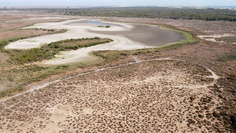 La laguna de Santa Olalla tras secarse en el Parque Nacional de Doñana, sur de España, 22 de agosto de 2022. (REUTERS/Estación Biológica de Doñana)