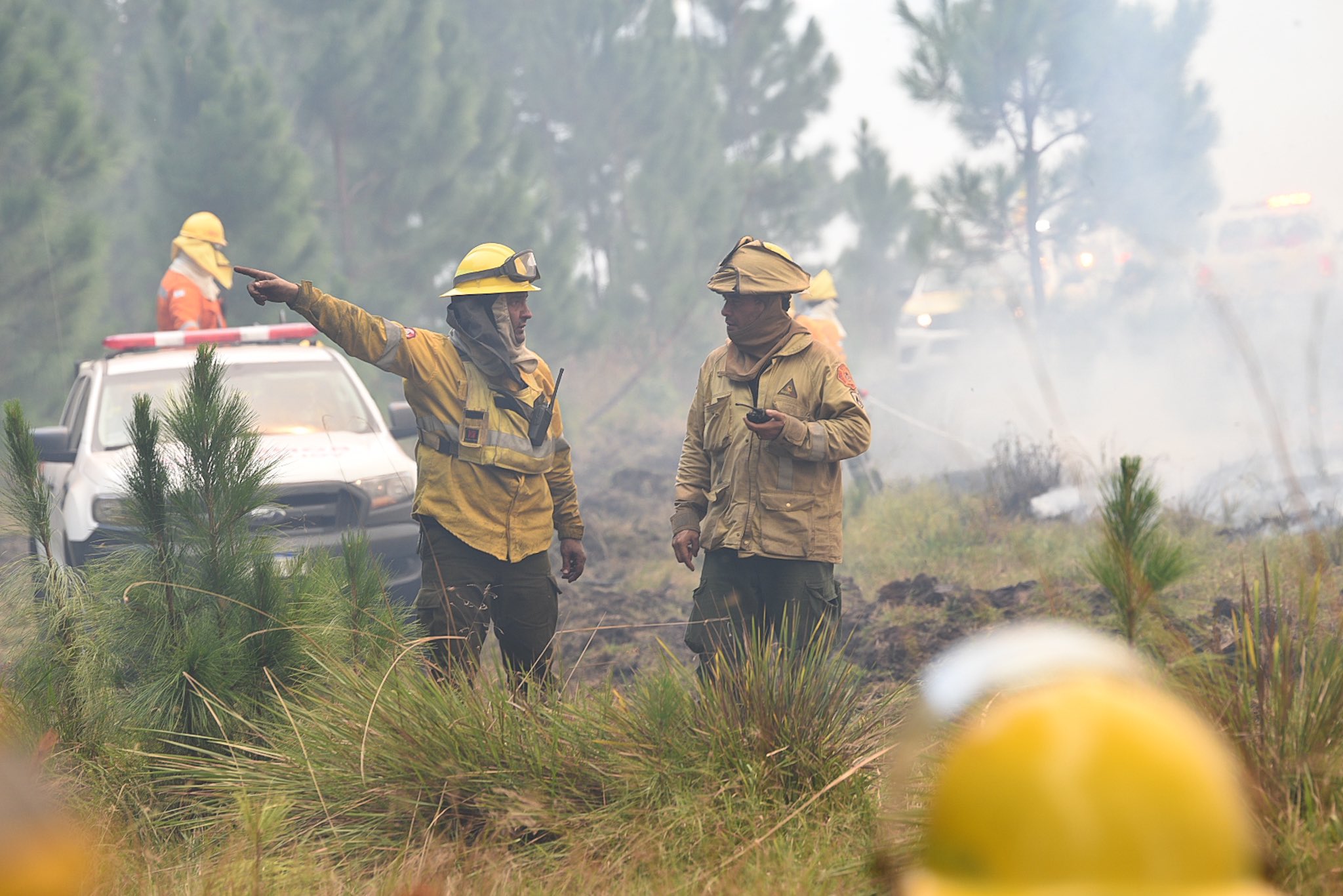 Los bomberos, brigadistas y guardaparques trabajan en el lugar. (Fotos: Twitter @CorrientesGob)