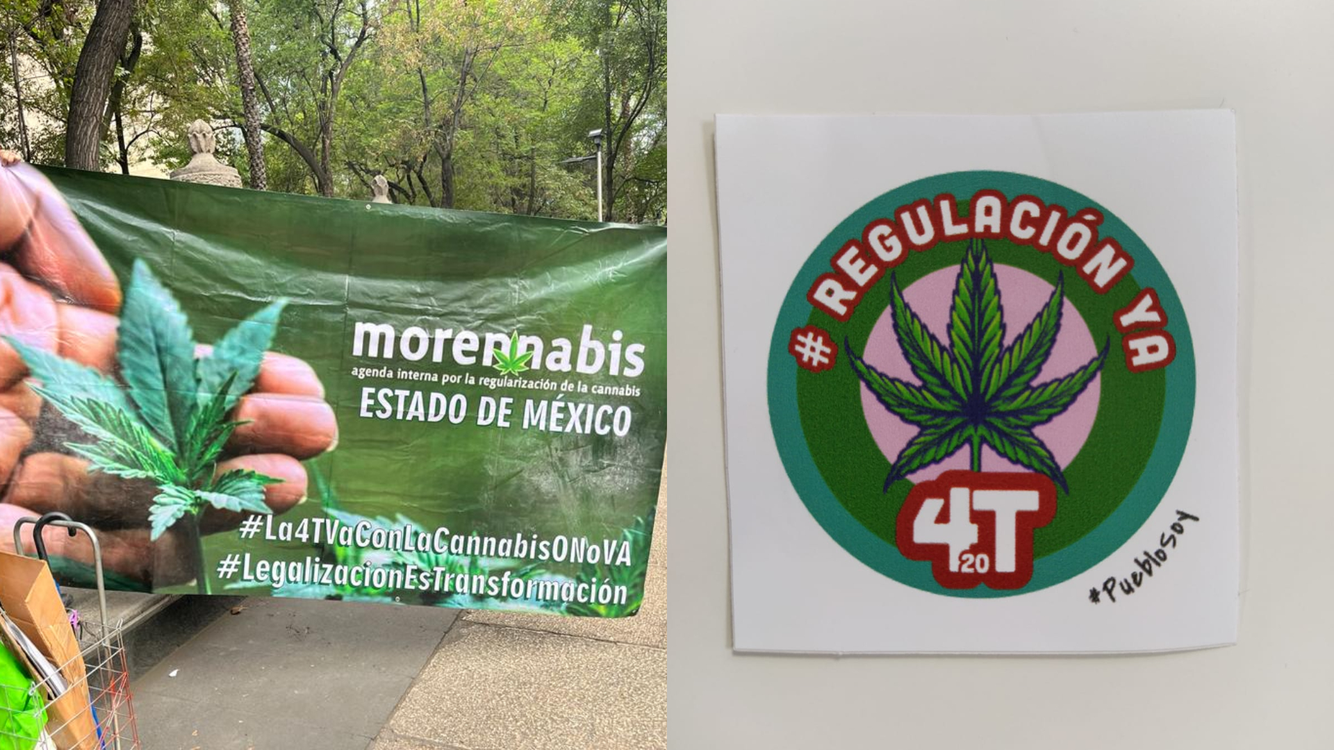 Morennabis Jóvenes Militantes Protestaron Por La Legalización Total De